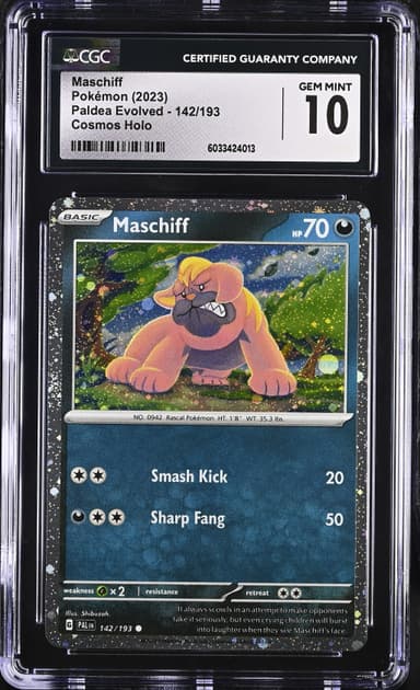 Maschiff