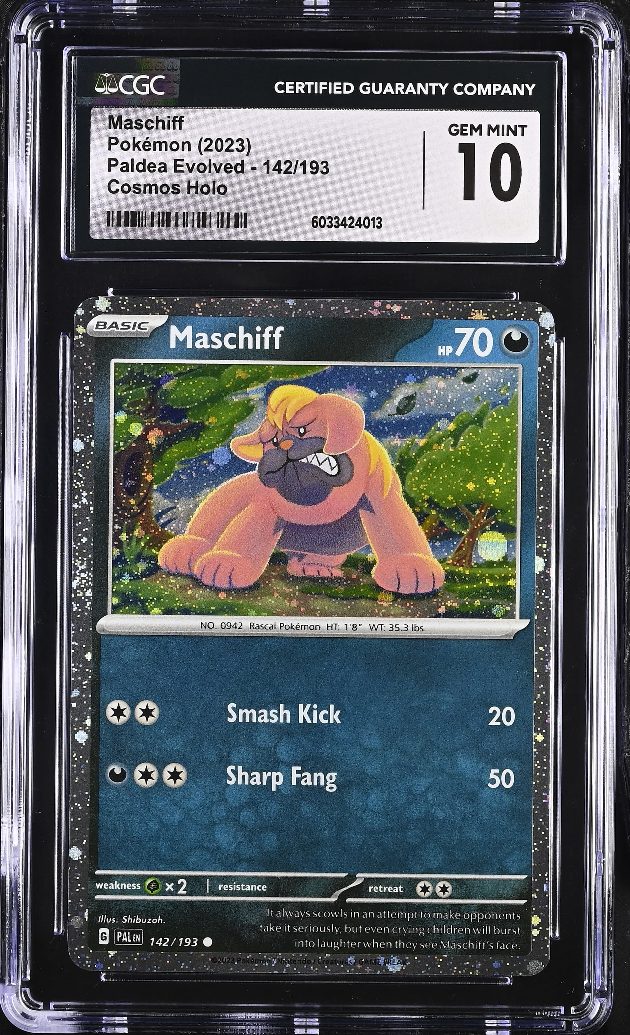 Maschiff