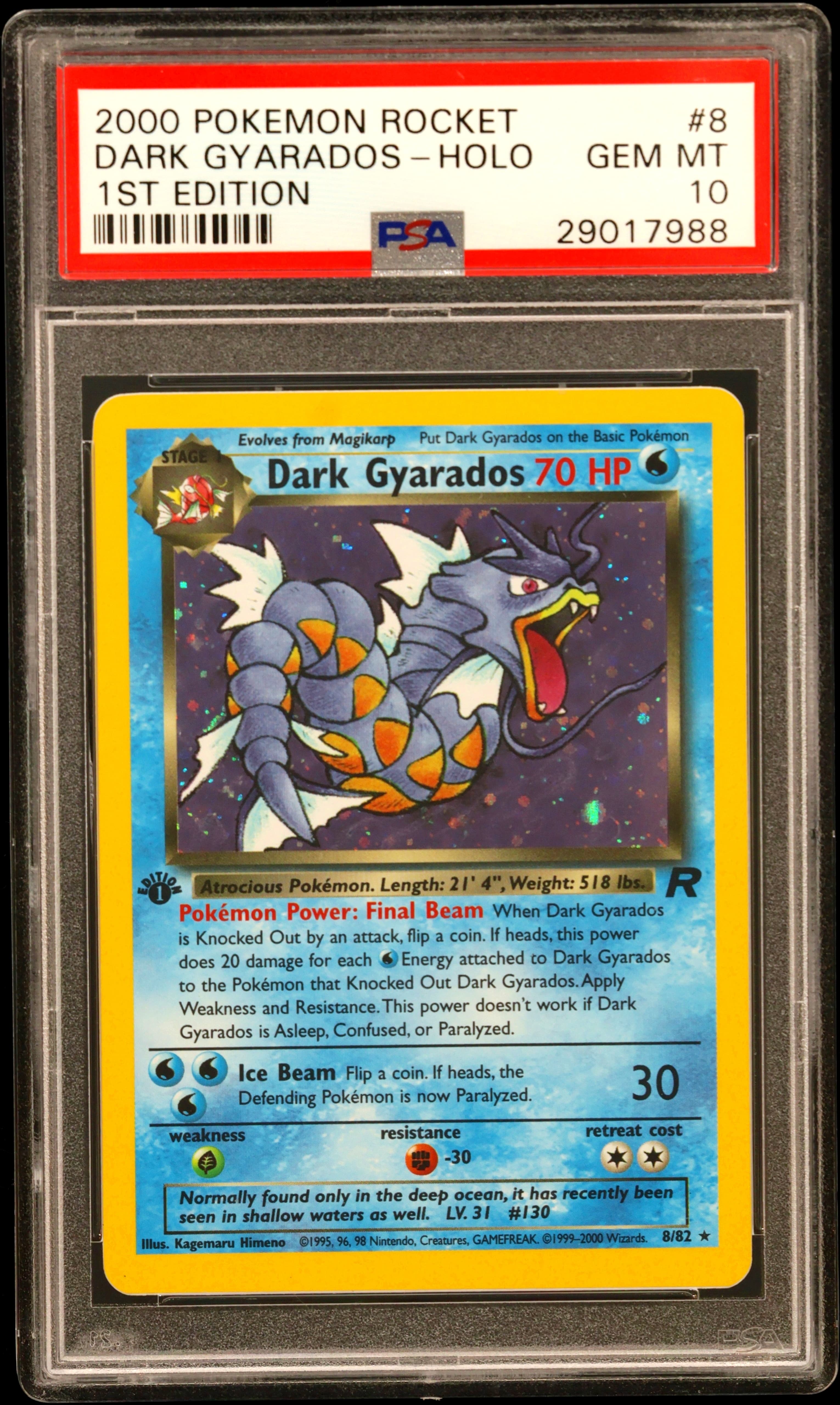 Dark Gyarados-Holo 1st Edition