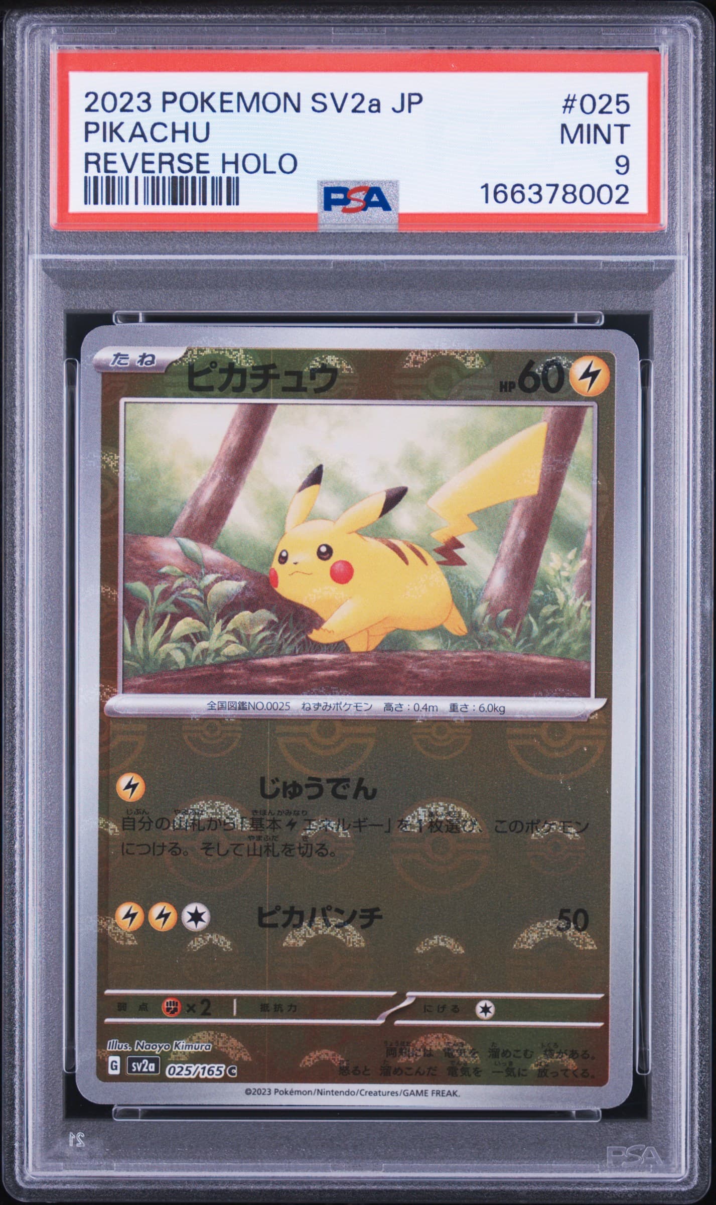 Pikachu Reverse Holo