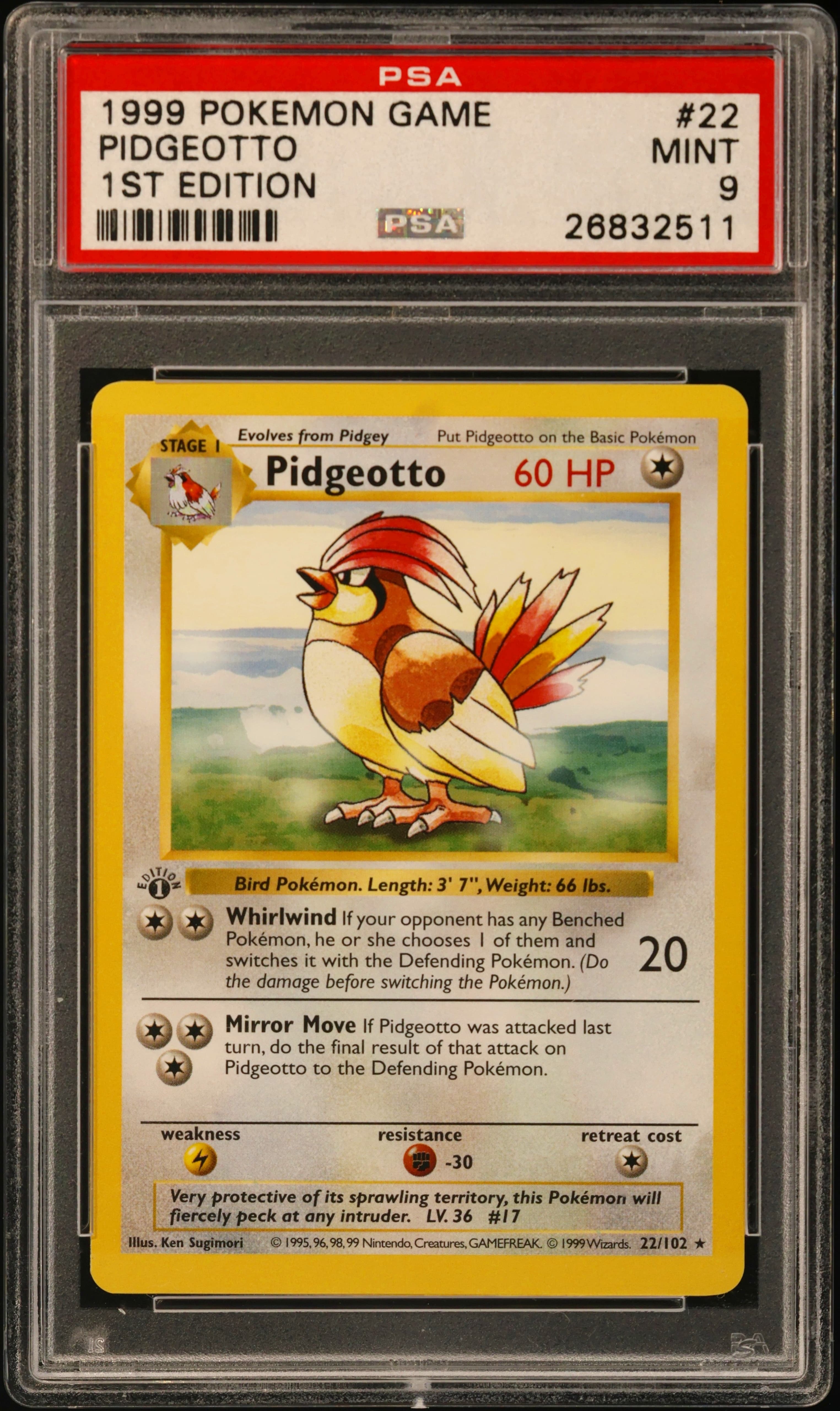 Pidgeotto 1st Edition