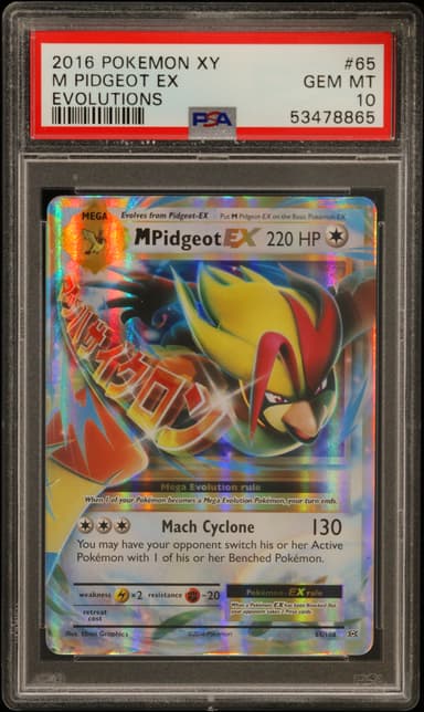 M Pidgeot EX