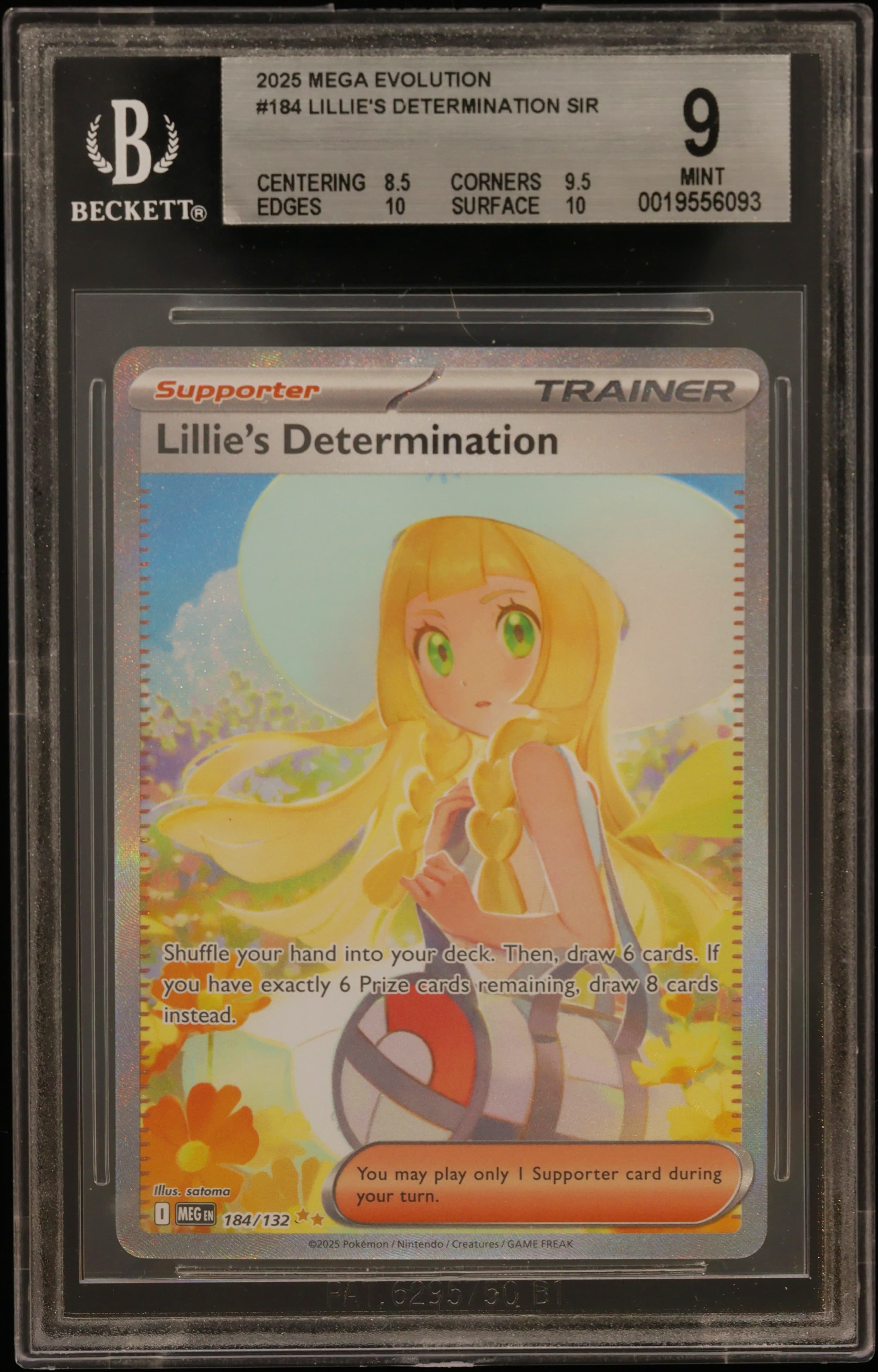 Lillie's Determination SIR