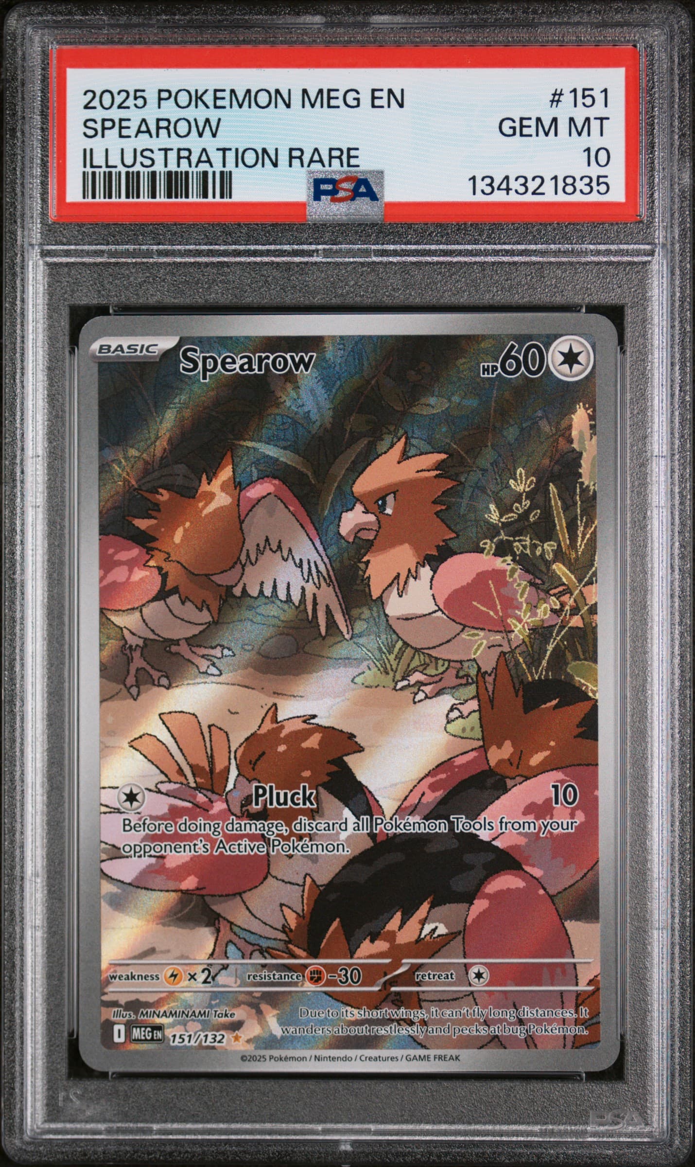 Spearow