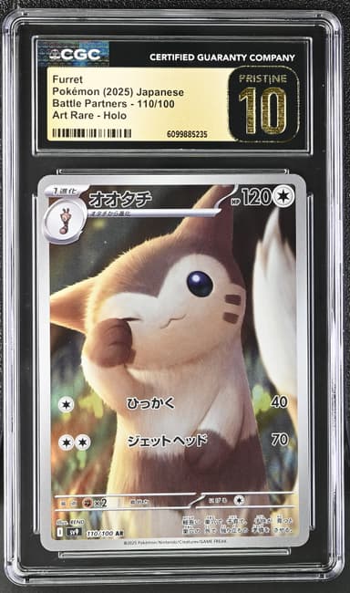 Furret