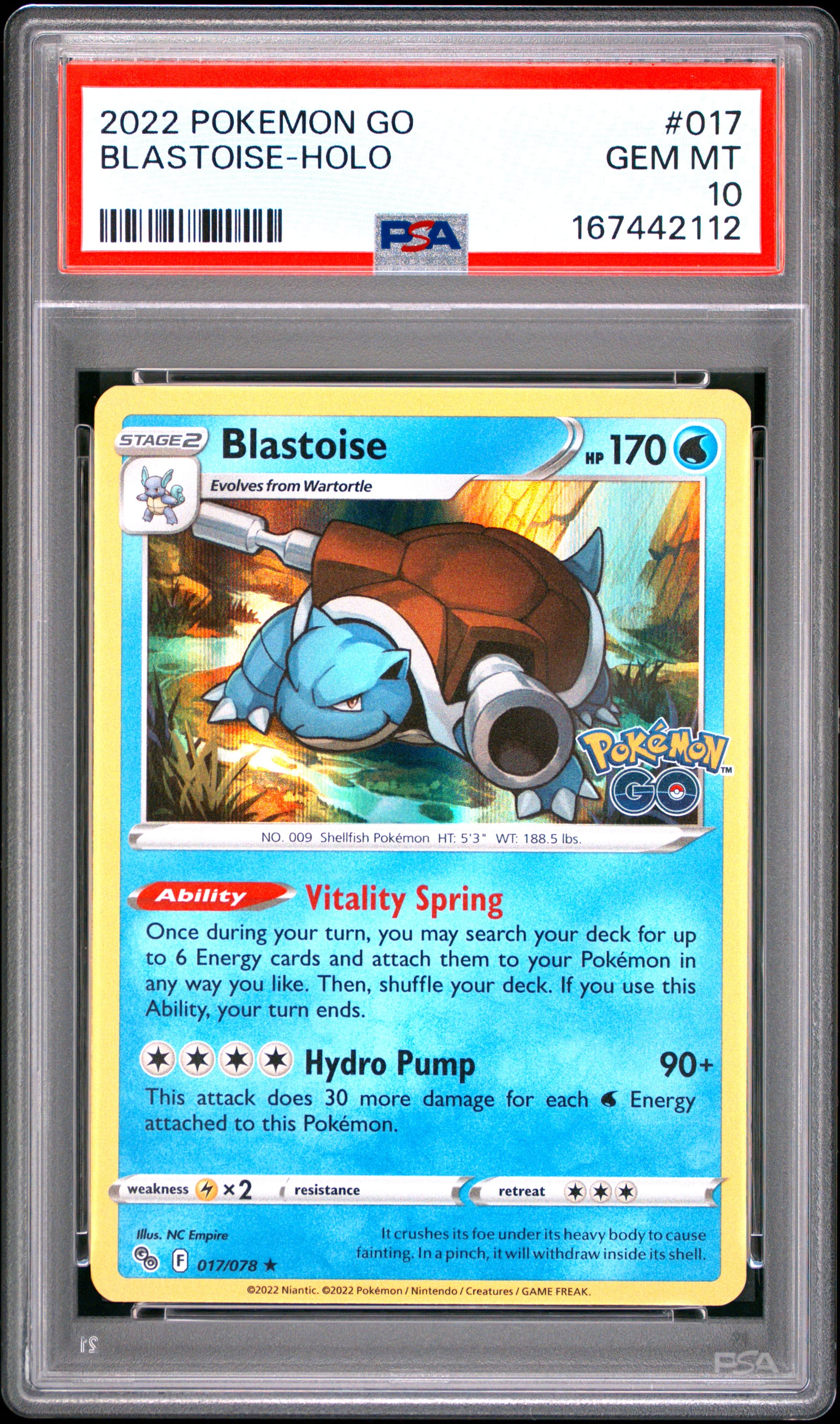 Blastoise-Holo