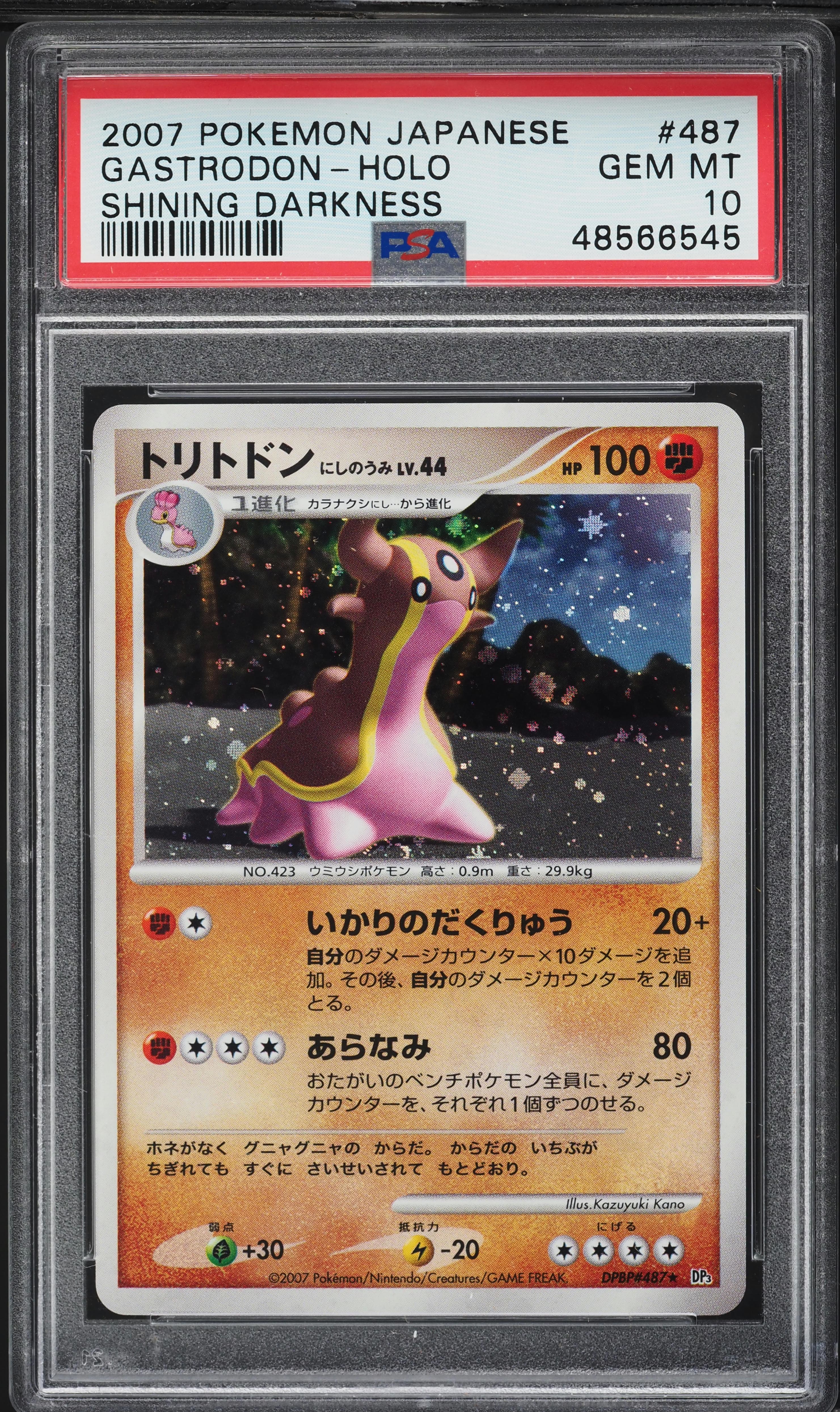 Gastrodon (West Sea)-Holo