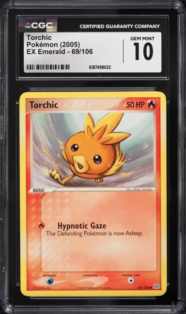 Torchic