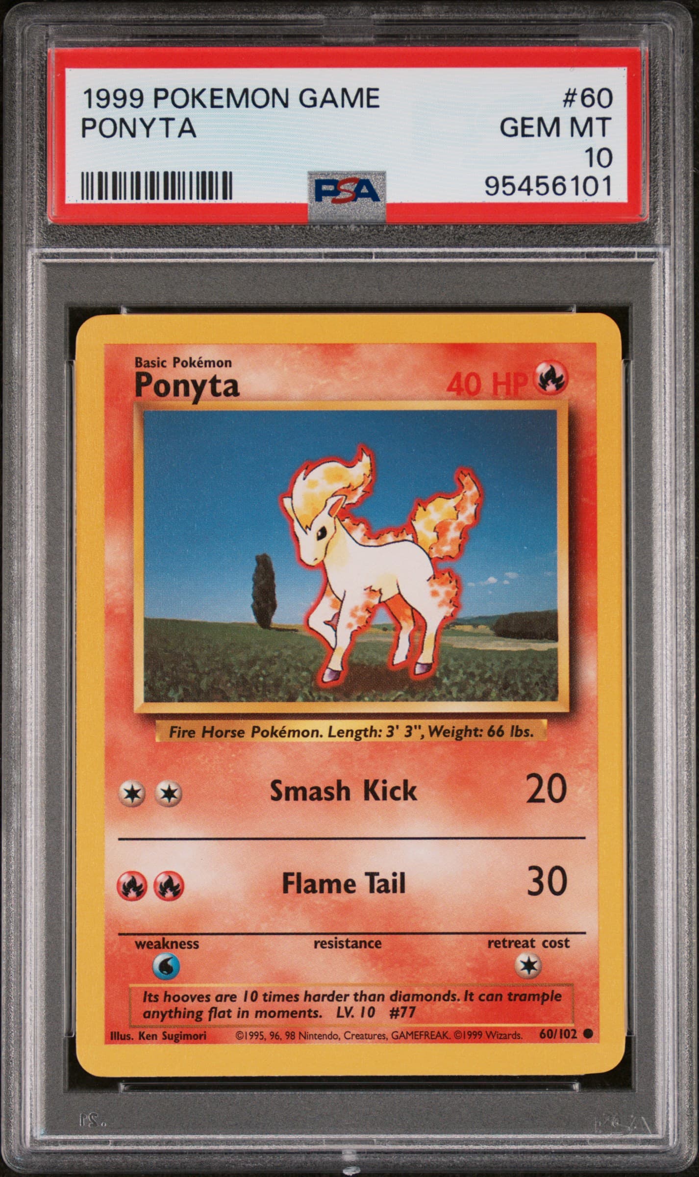 Ponyta