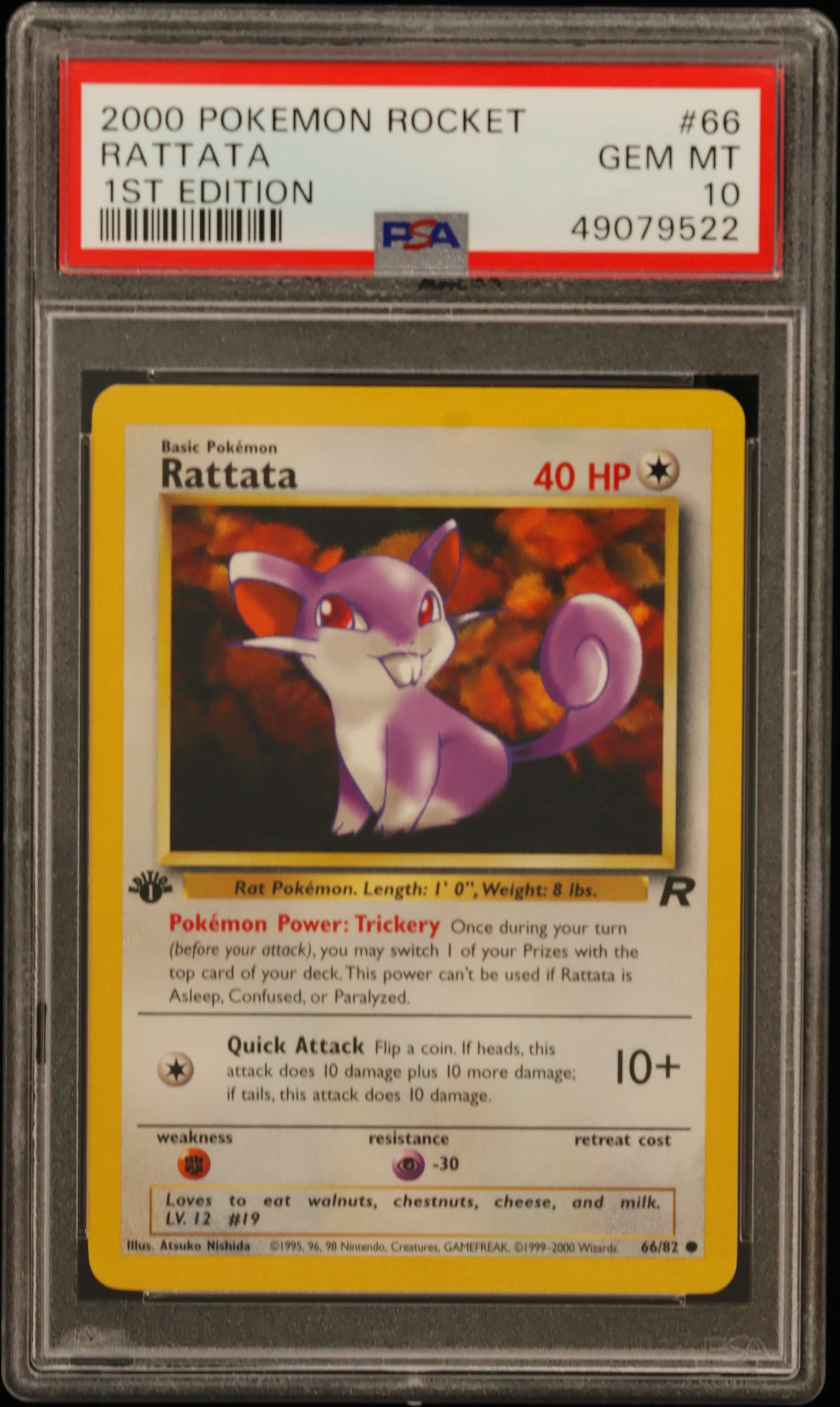 Rattata 1st Edition