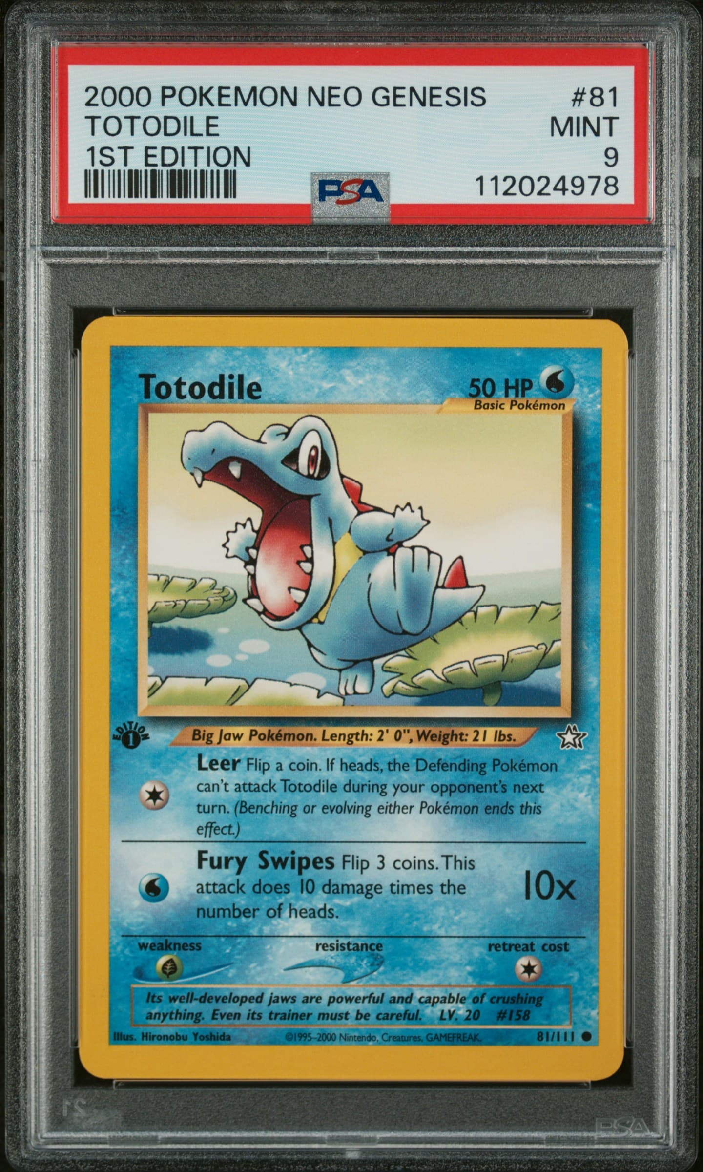 Totodile