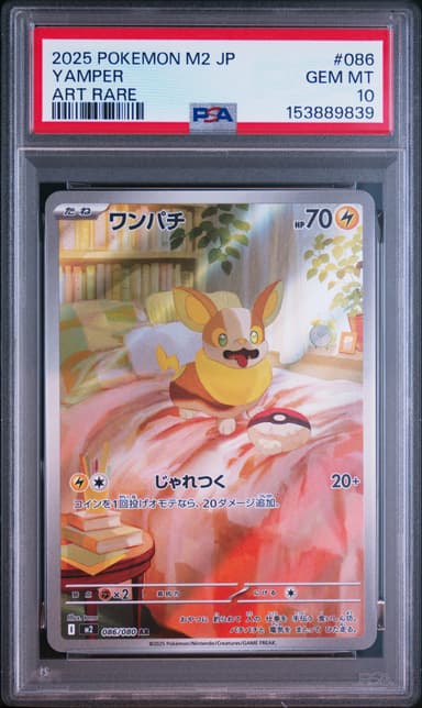 Yamper