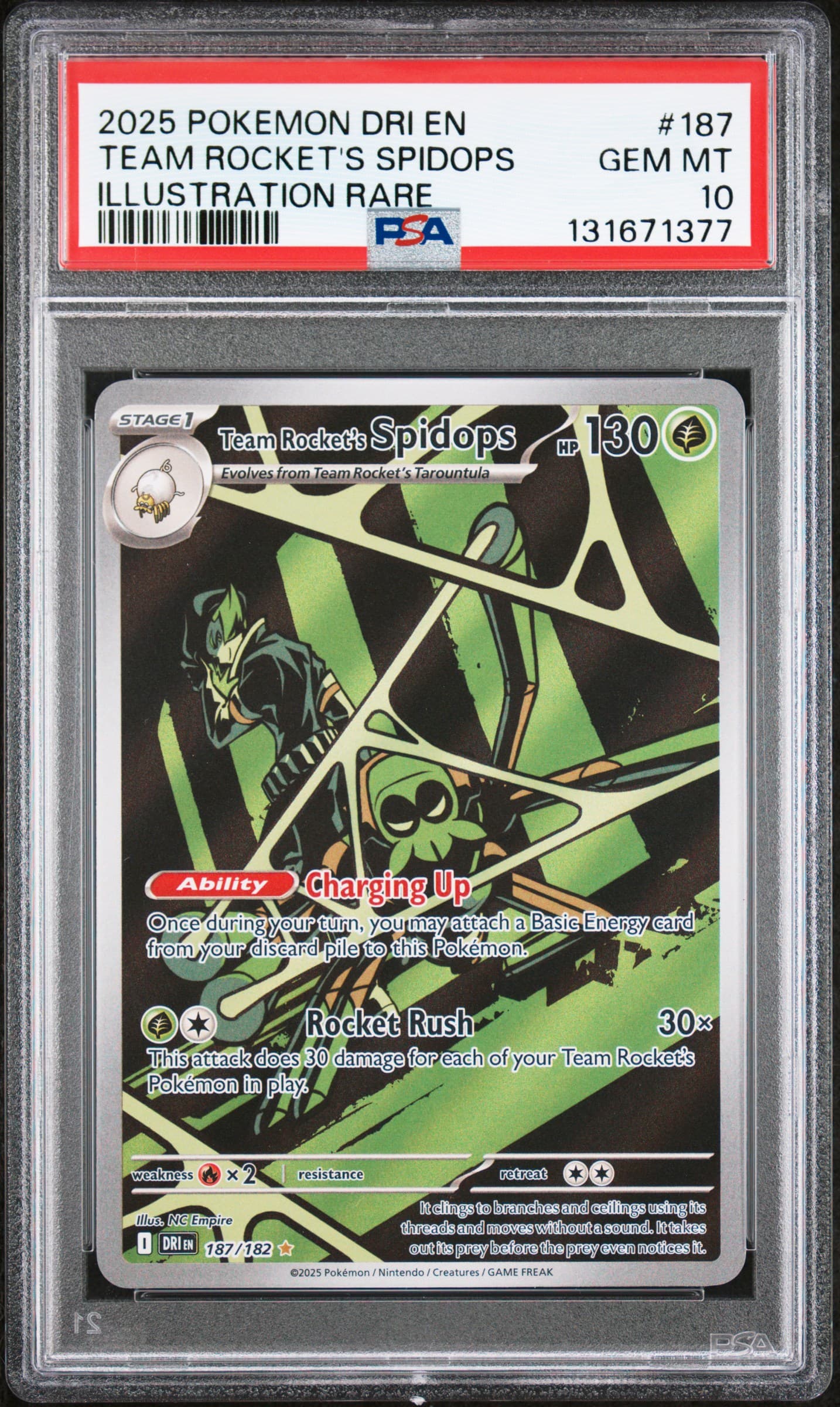 Team Rocket's Spidops