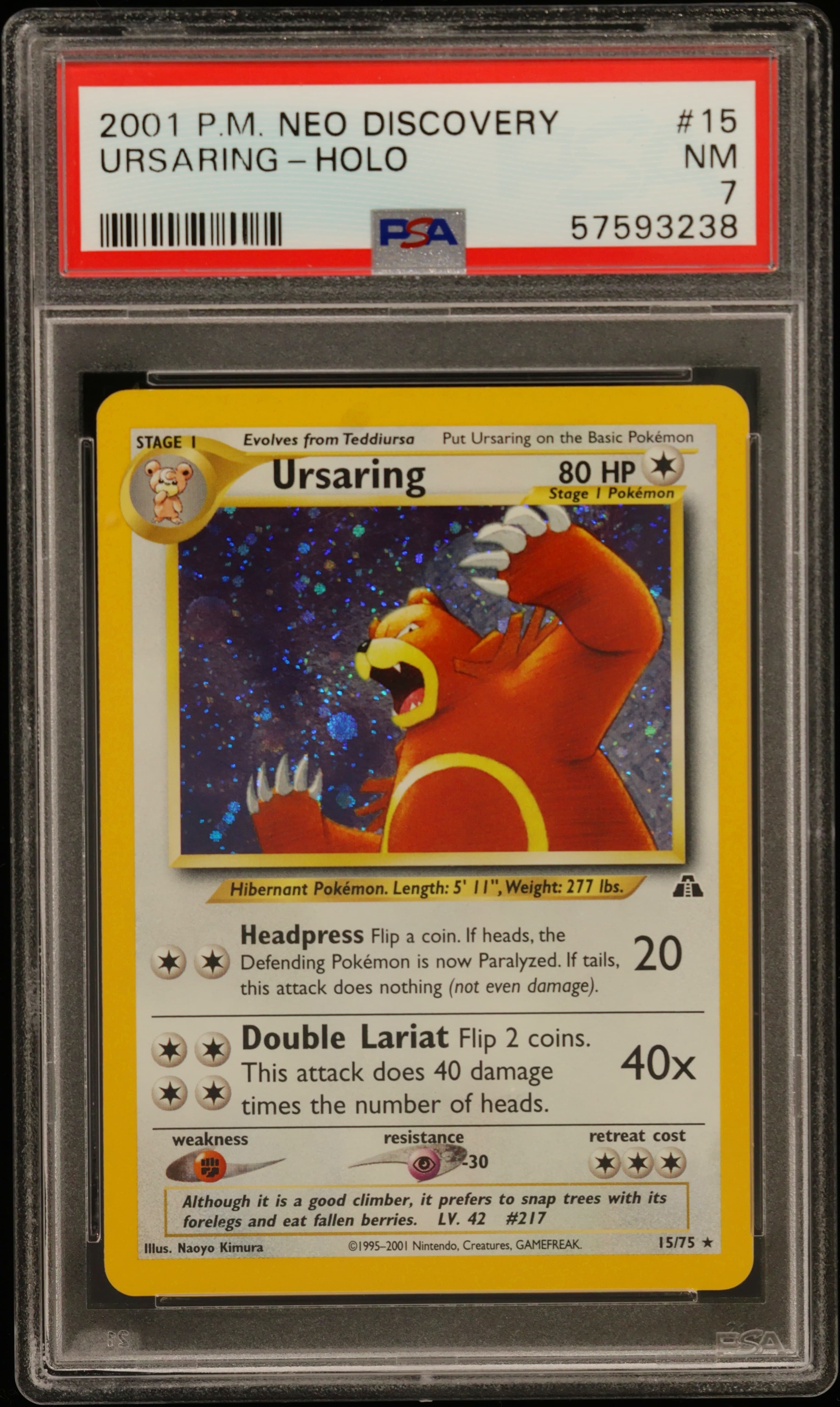 Ursaring-Holo