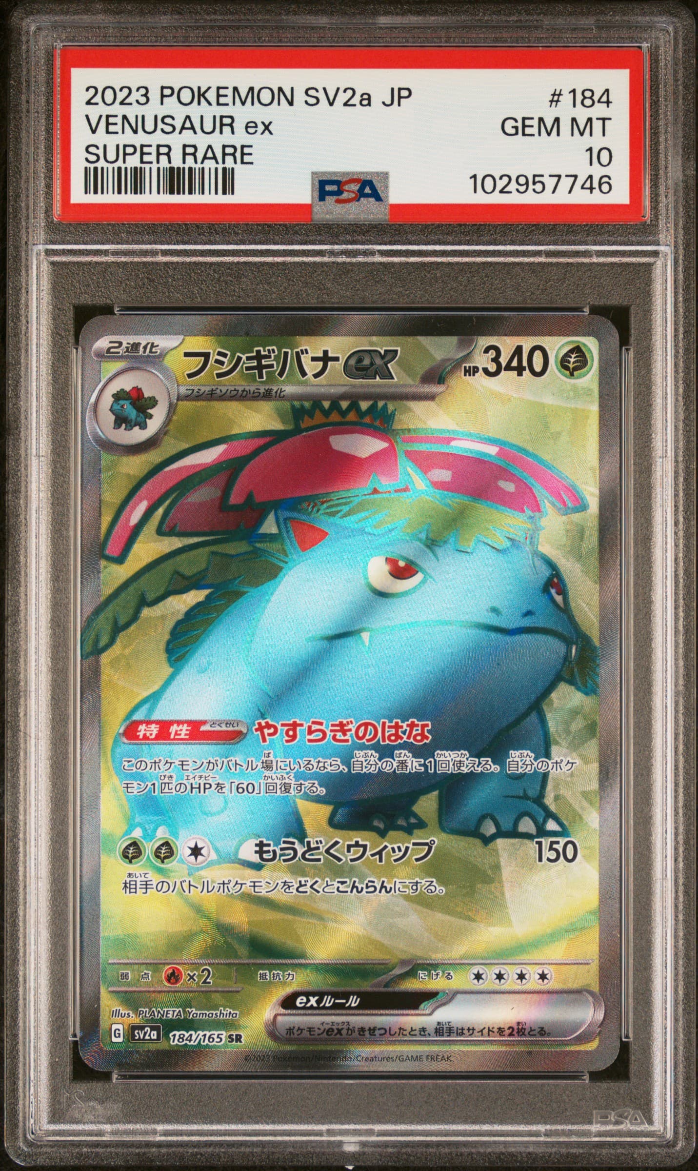 Venusaur EX