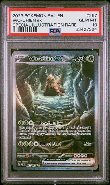 WO-Chien EX