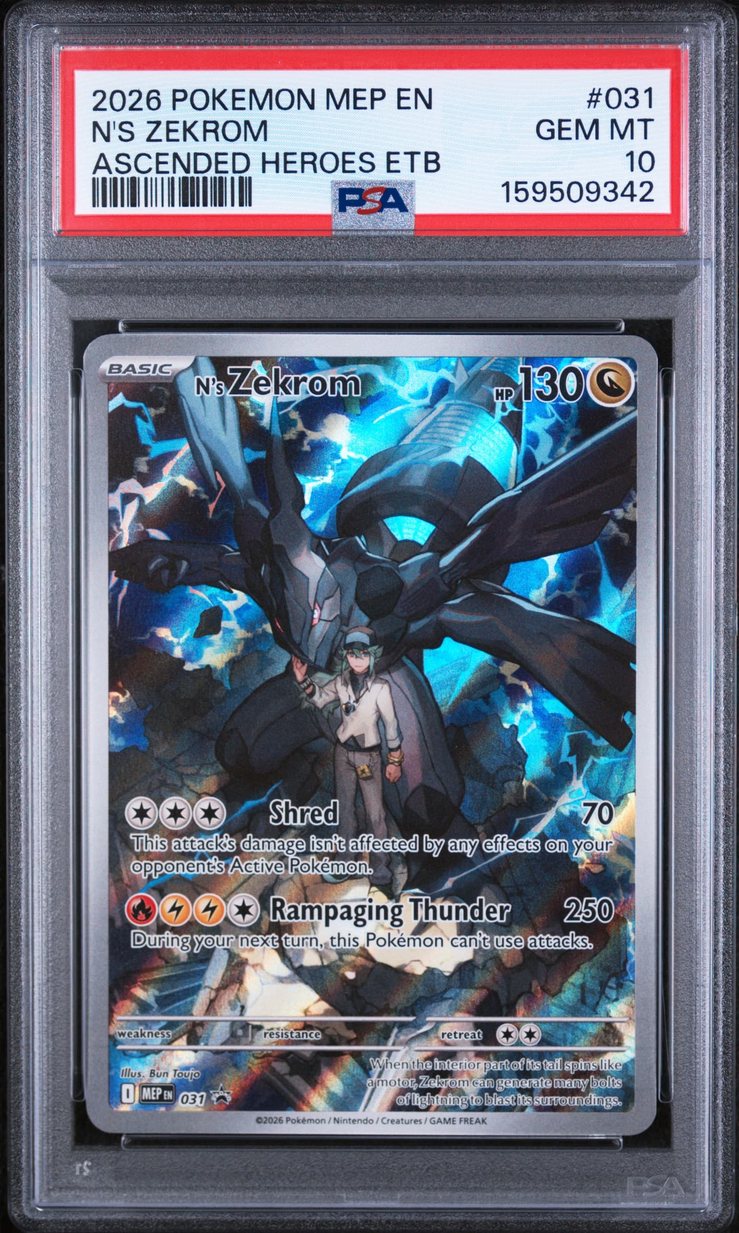 N's Zekrom