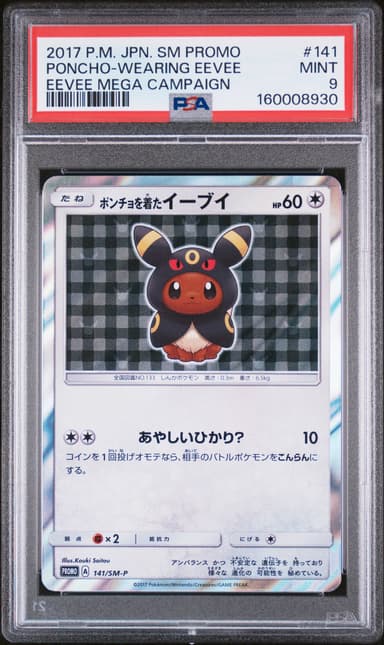 Poncho-Wearing Eevee