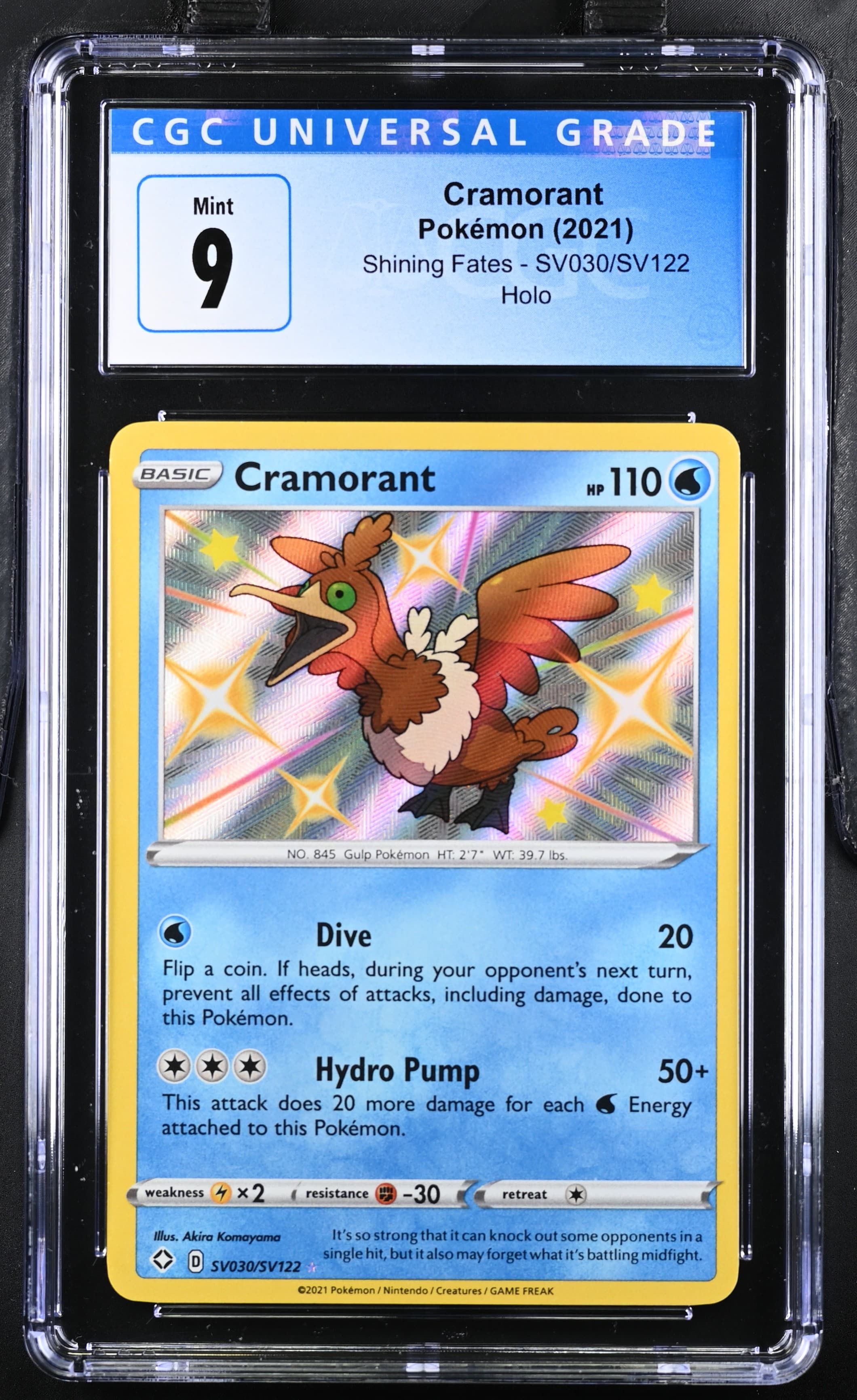 Cramorant