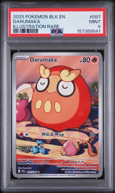 Darumaka