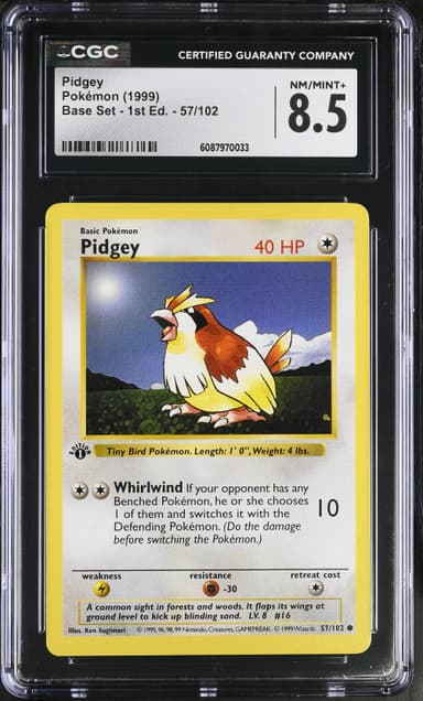 Pidgey