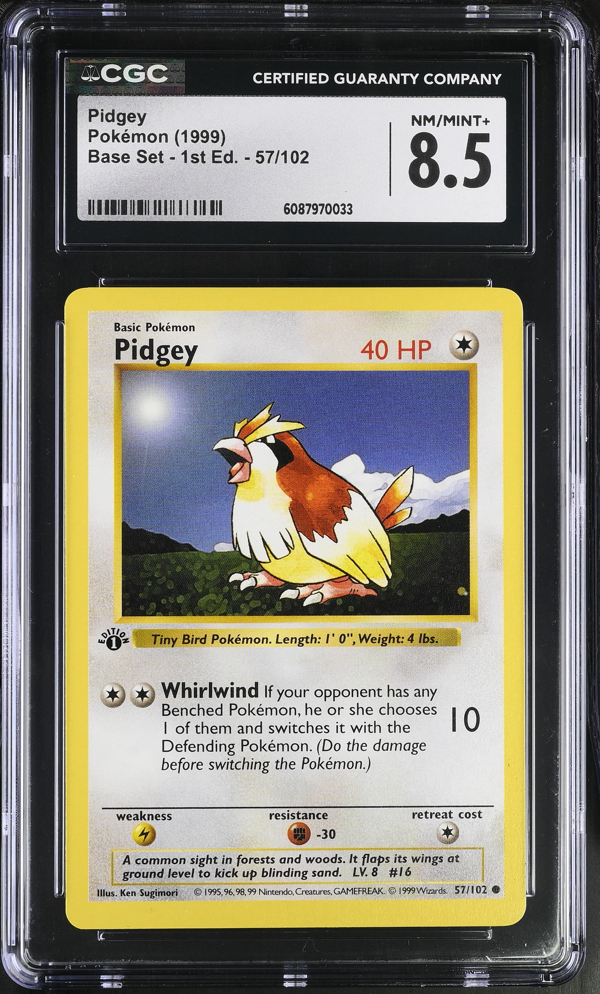 Pidgey