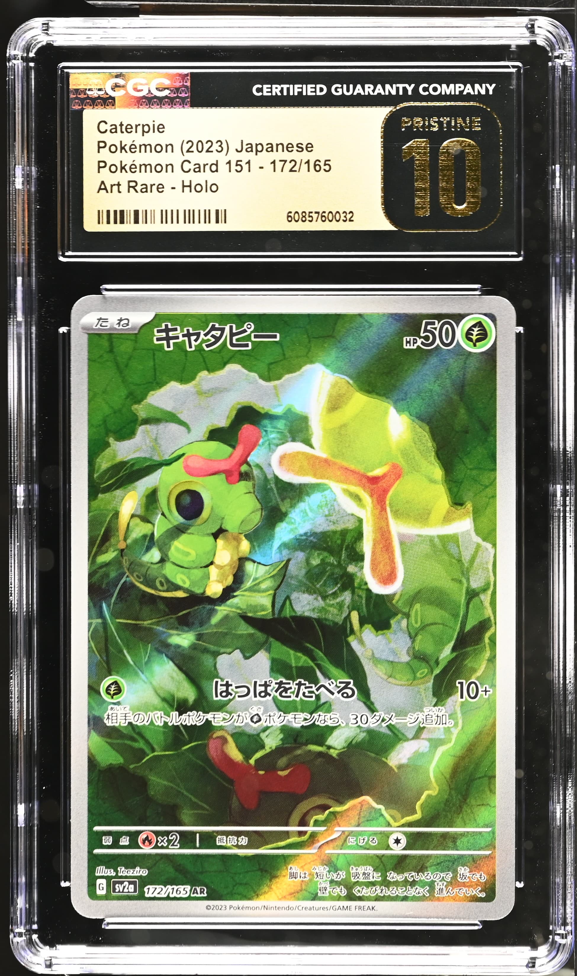 Caterpie