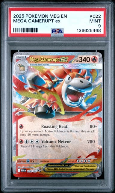 Mega Camerupt EX