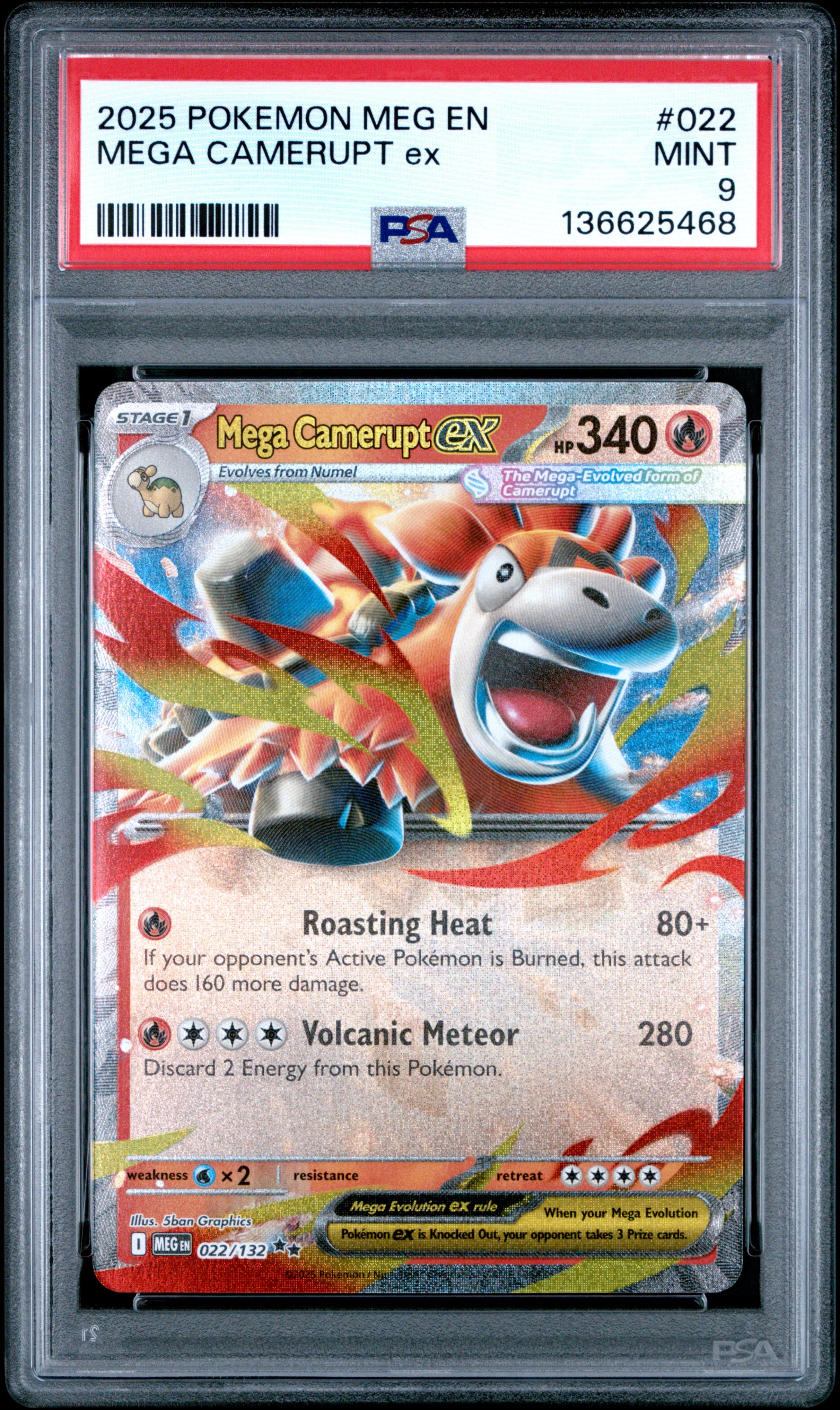 Mega Camerupt EX
