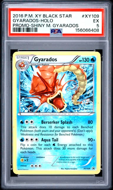 Gyarados-Holo