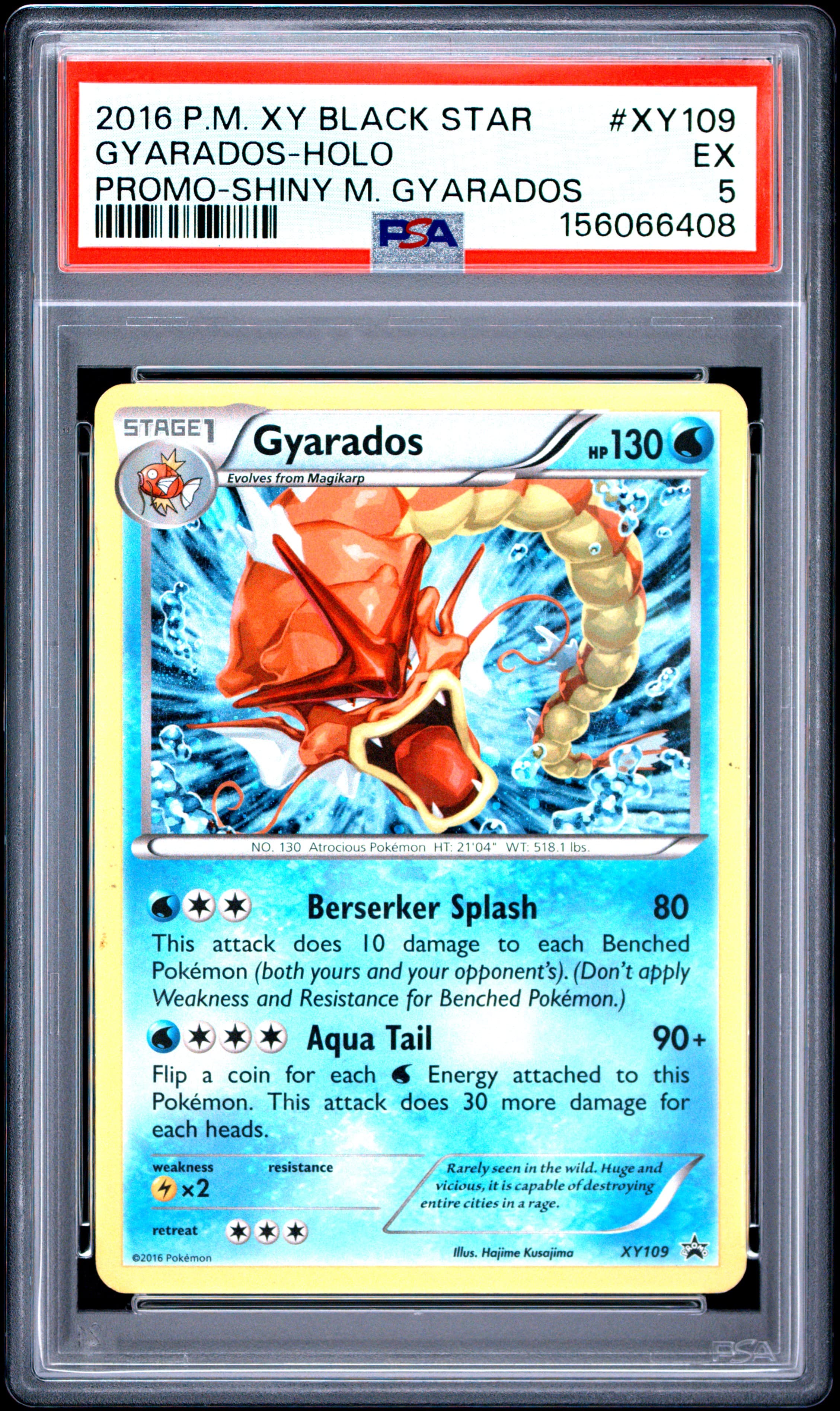 Gyarados-Holo