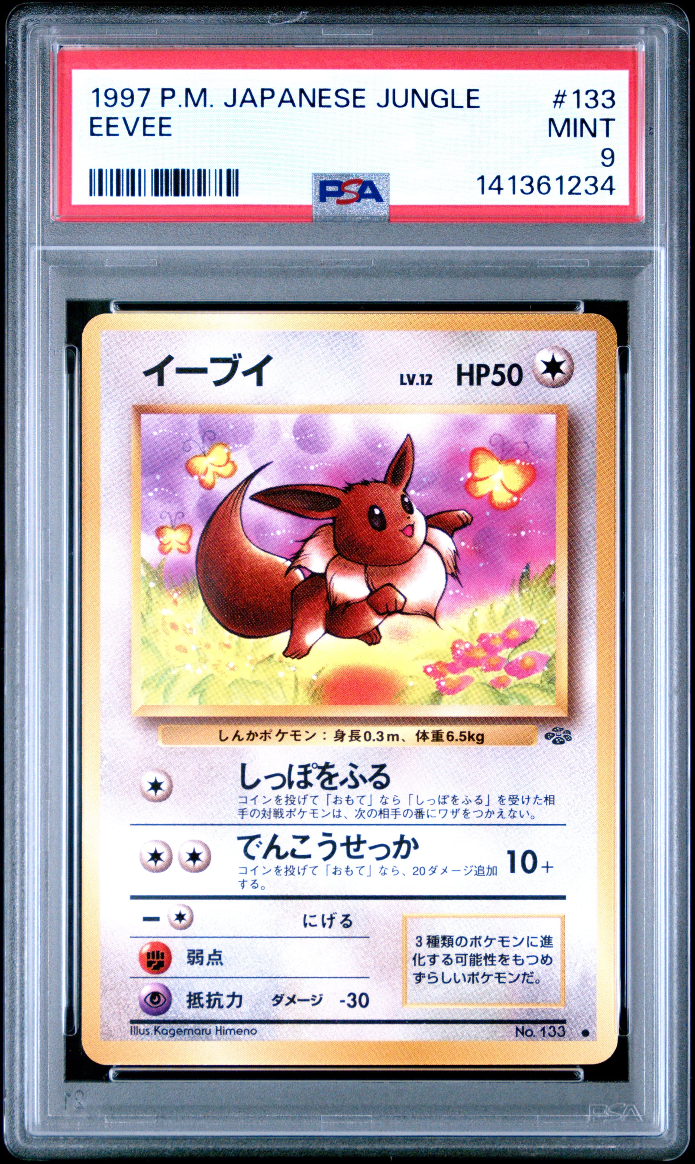 Eevee