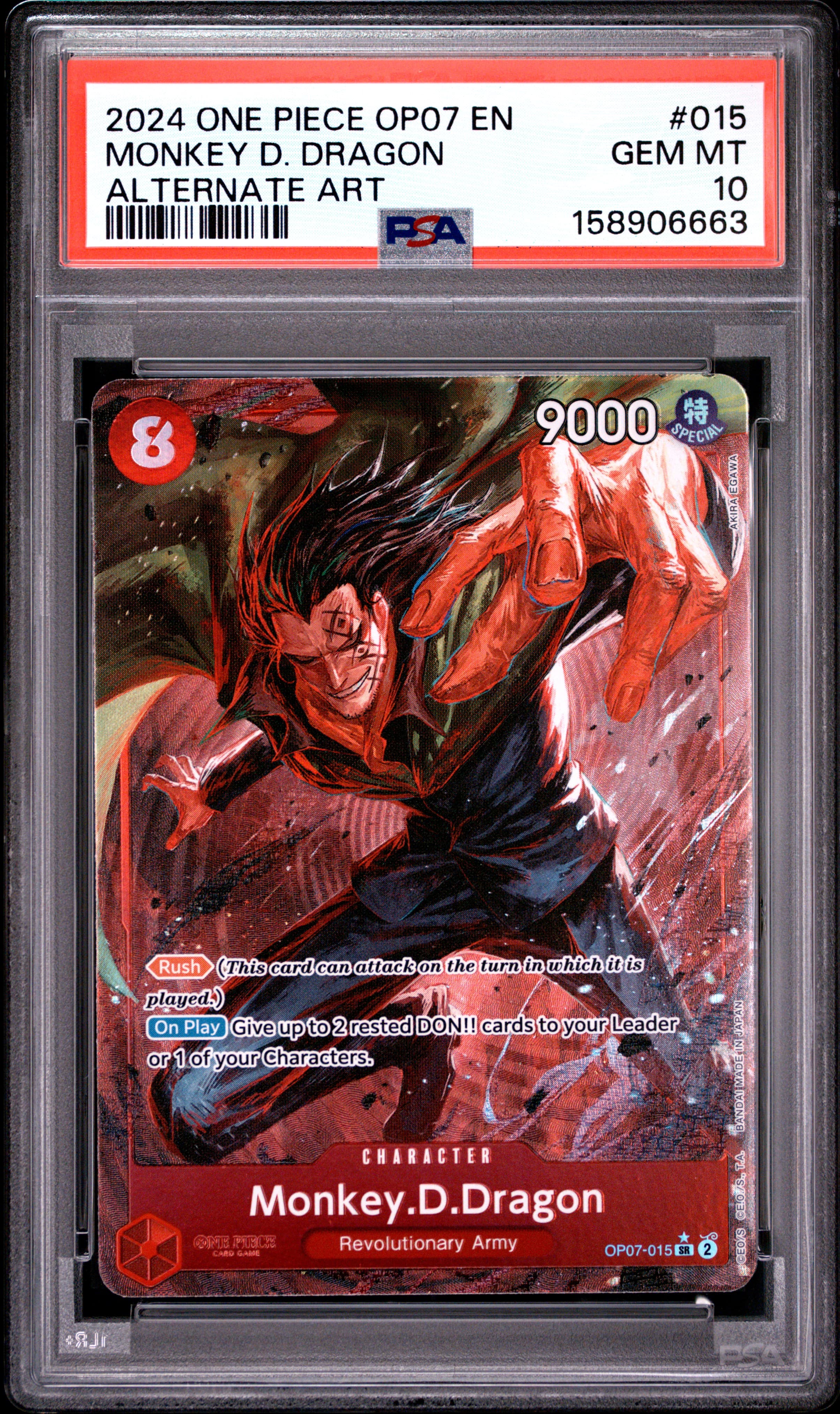 Monkey D. Dragon