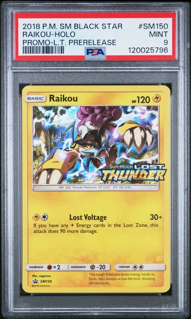 Raikou-Holo