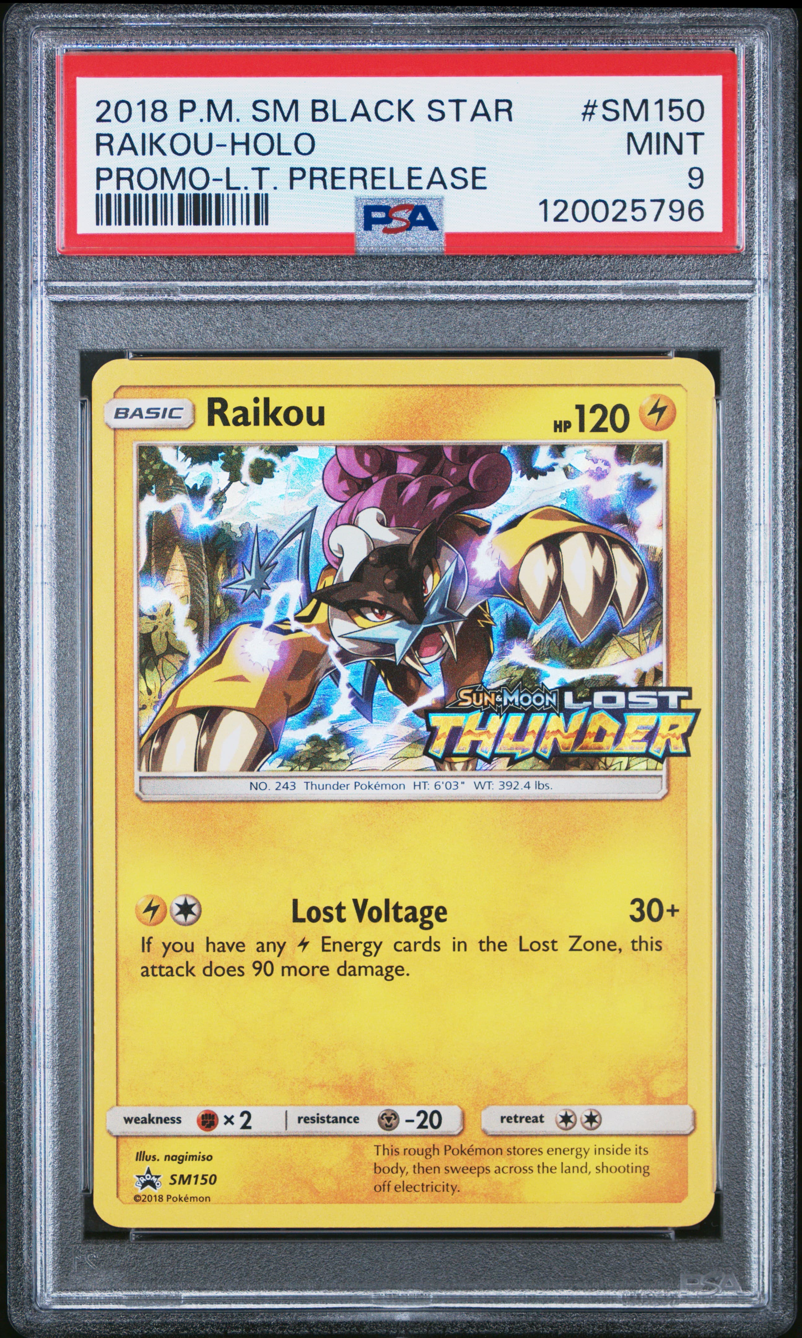 Raikou-Holo