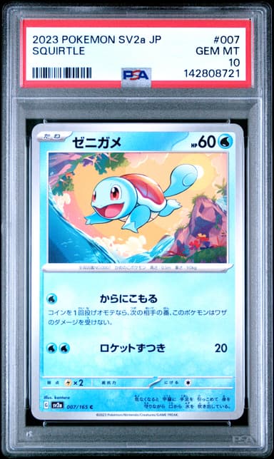 Squirtle