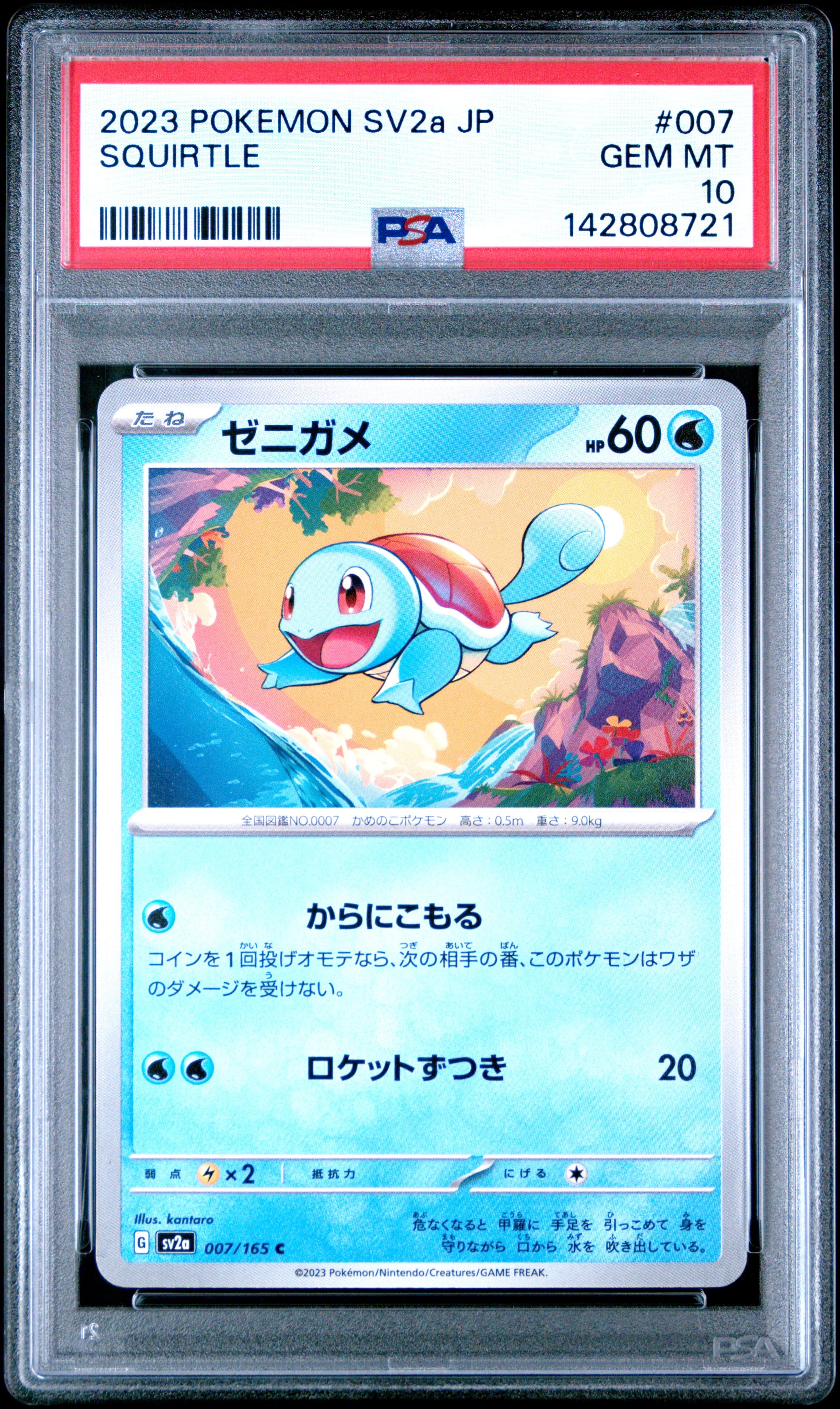 Squirtle