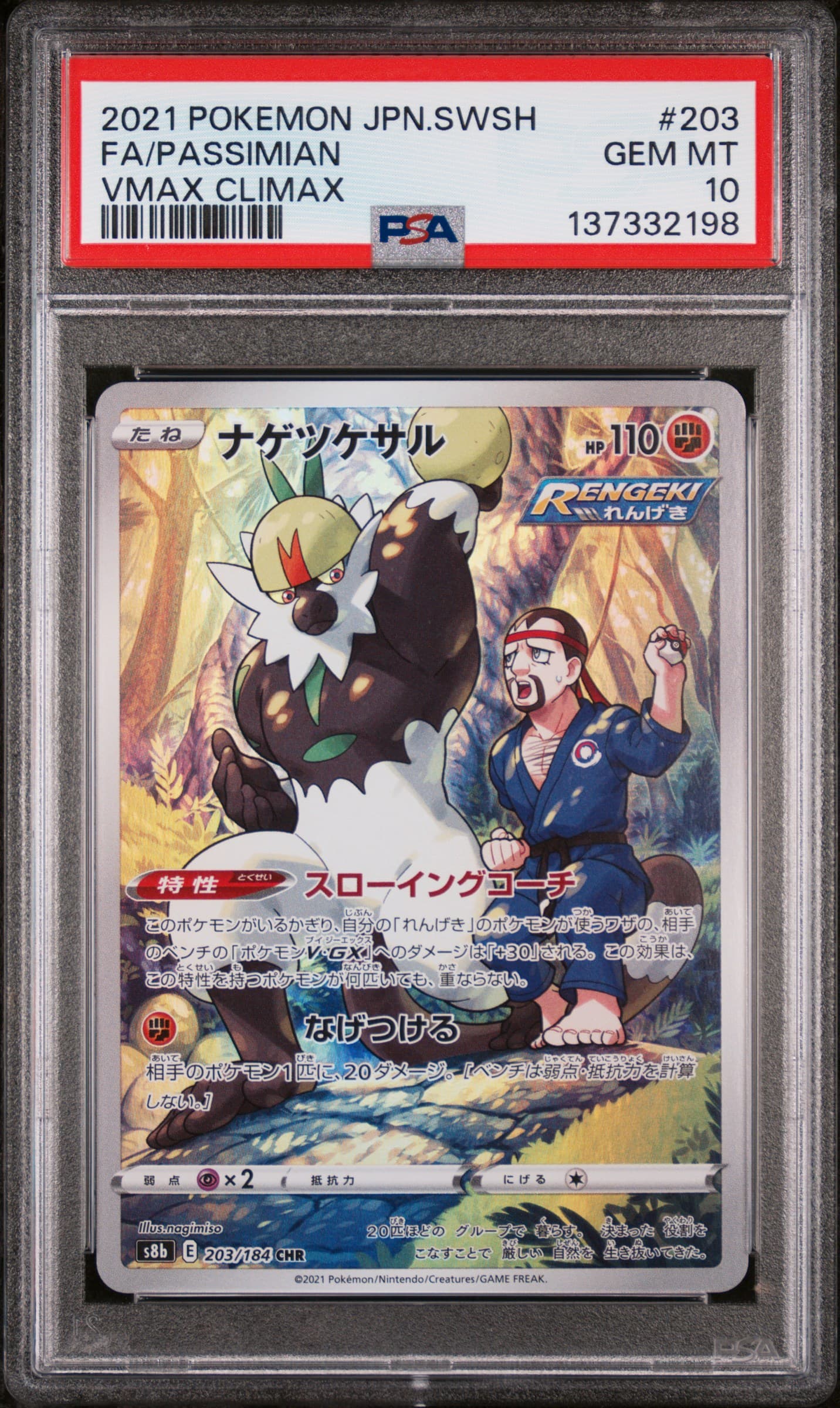 Full Art/Passimian