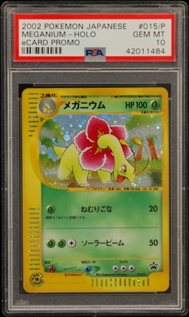 Meganium-Holo