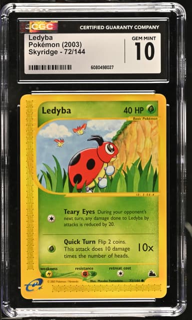 Ledyba
