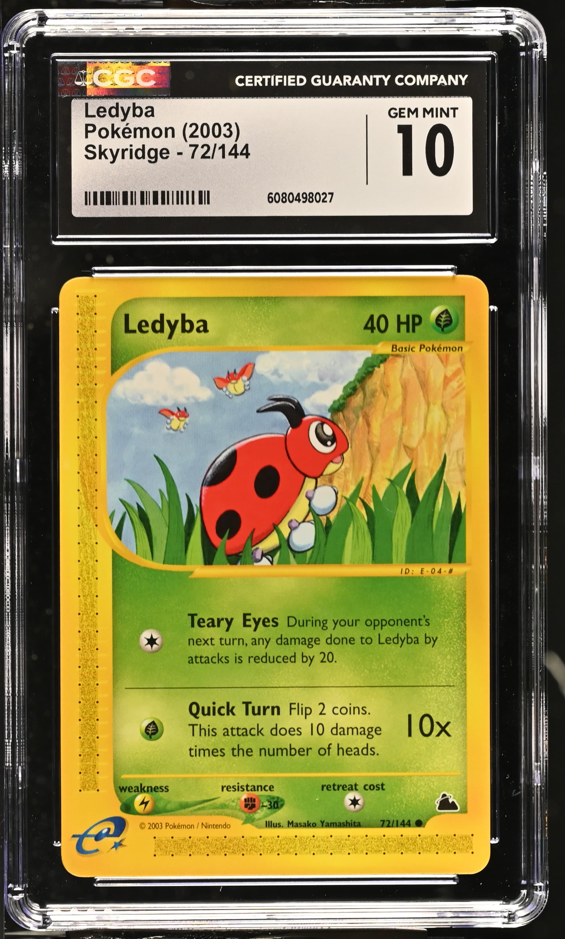 Ledyba