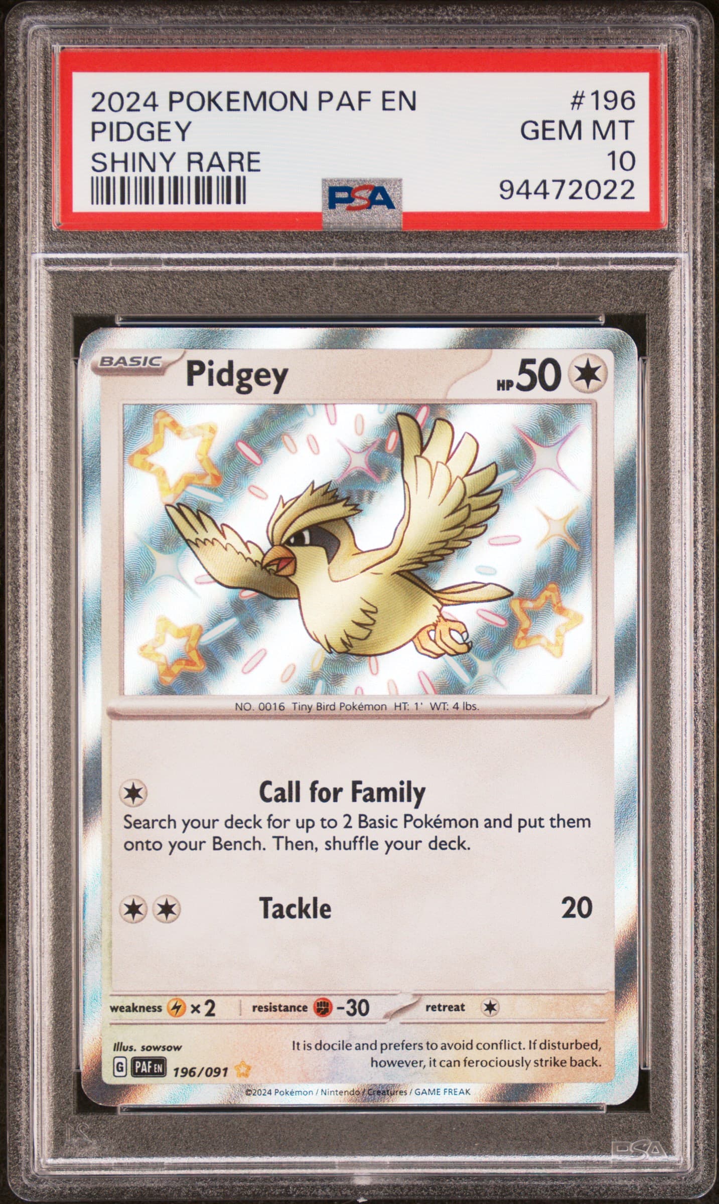 Pidgey