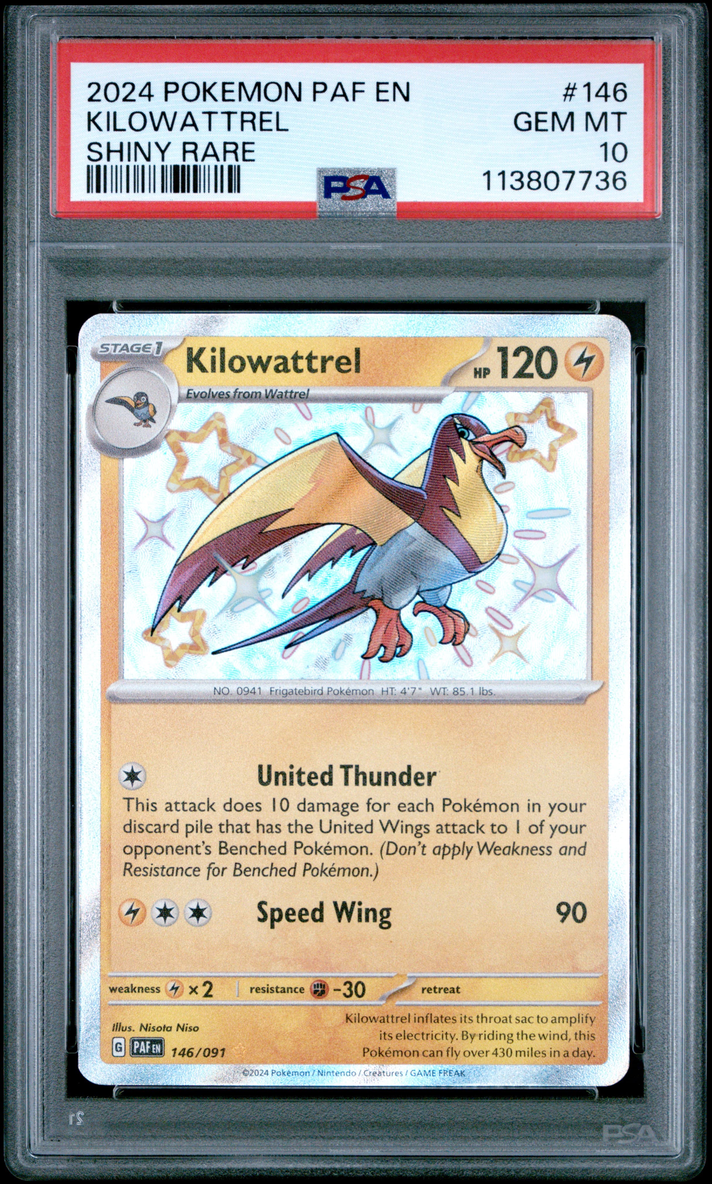 Kilowattrel