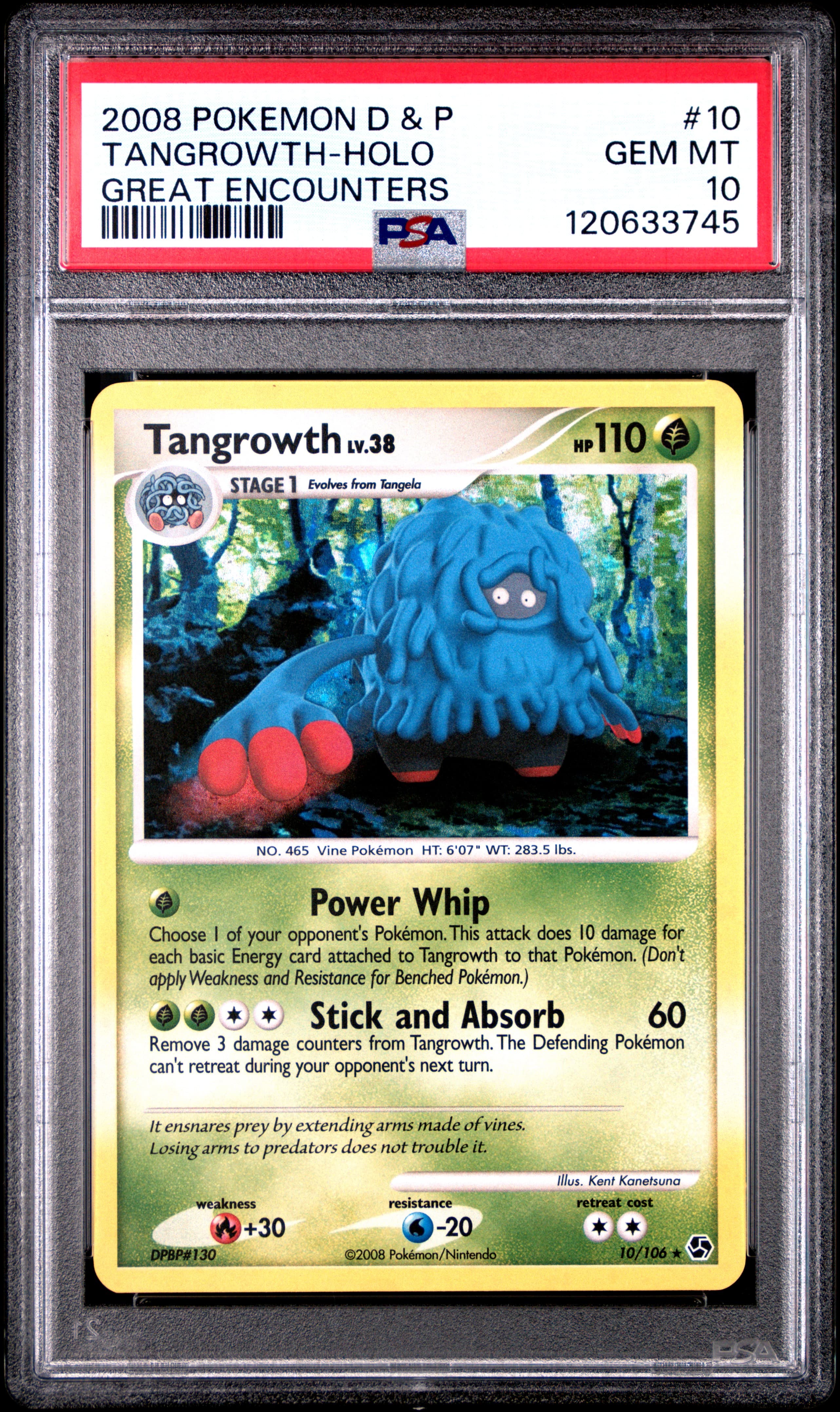 Tangrowth-Holo