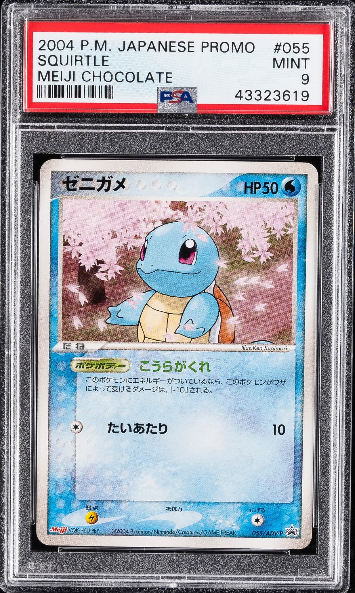 Squirtle
