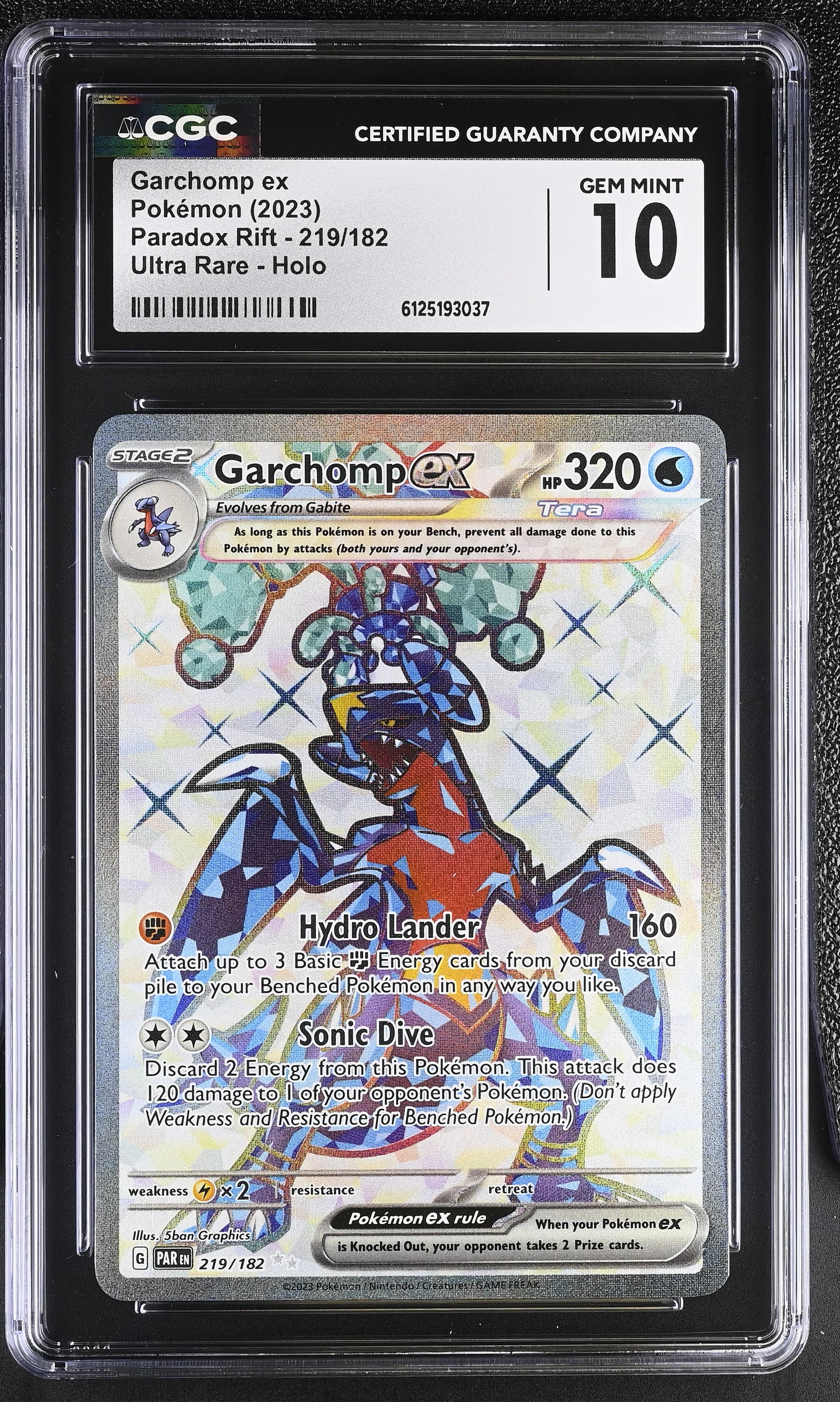 Garchomp ex