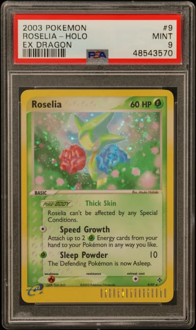 Roselia-Holo