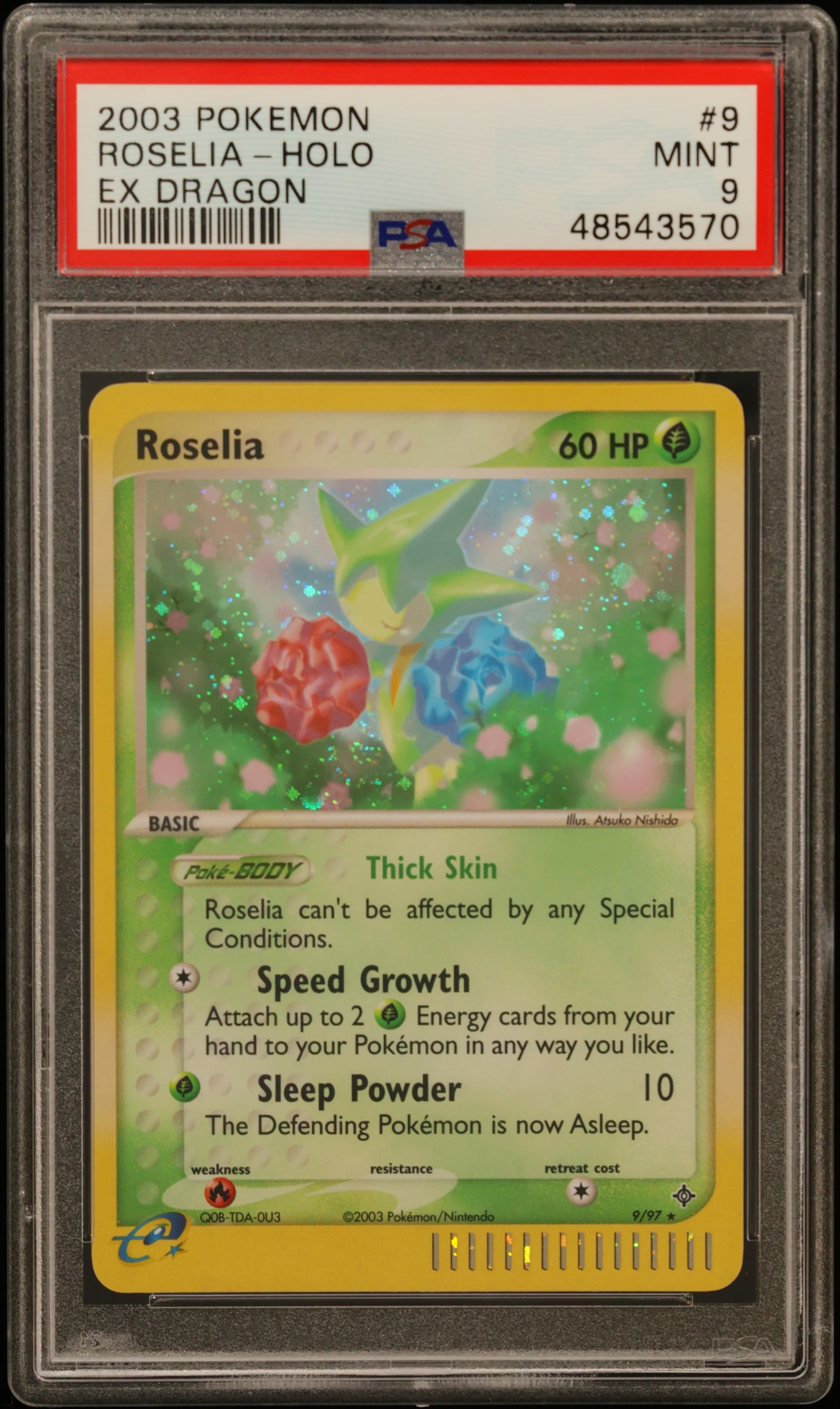 Roselia-Holo