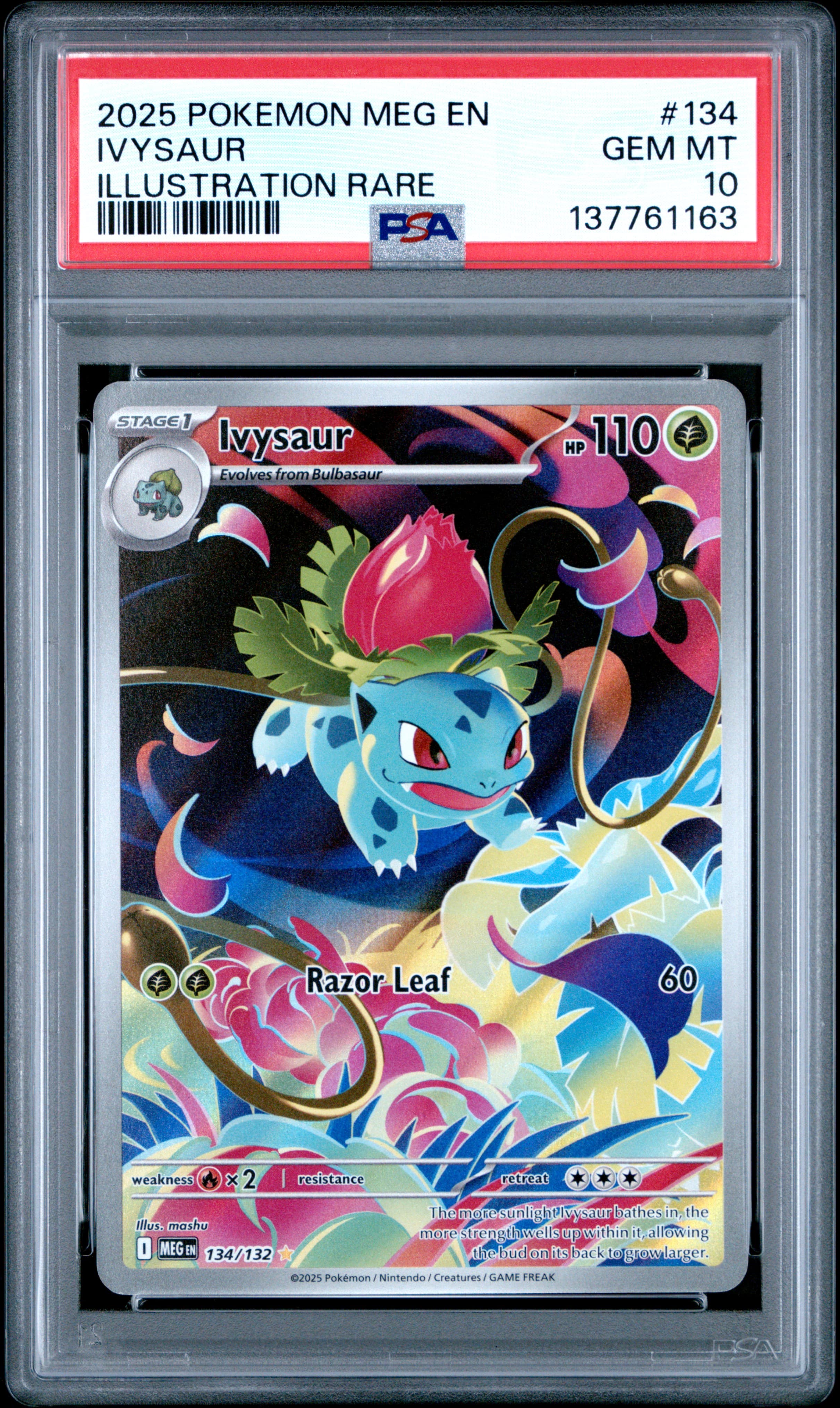 Ivysaur