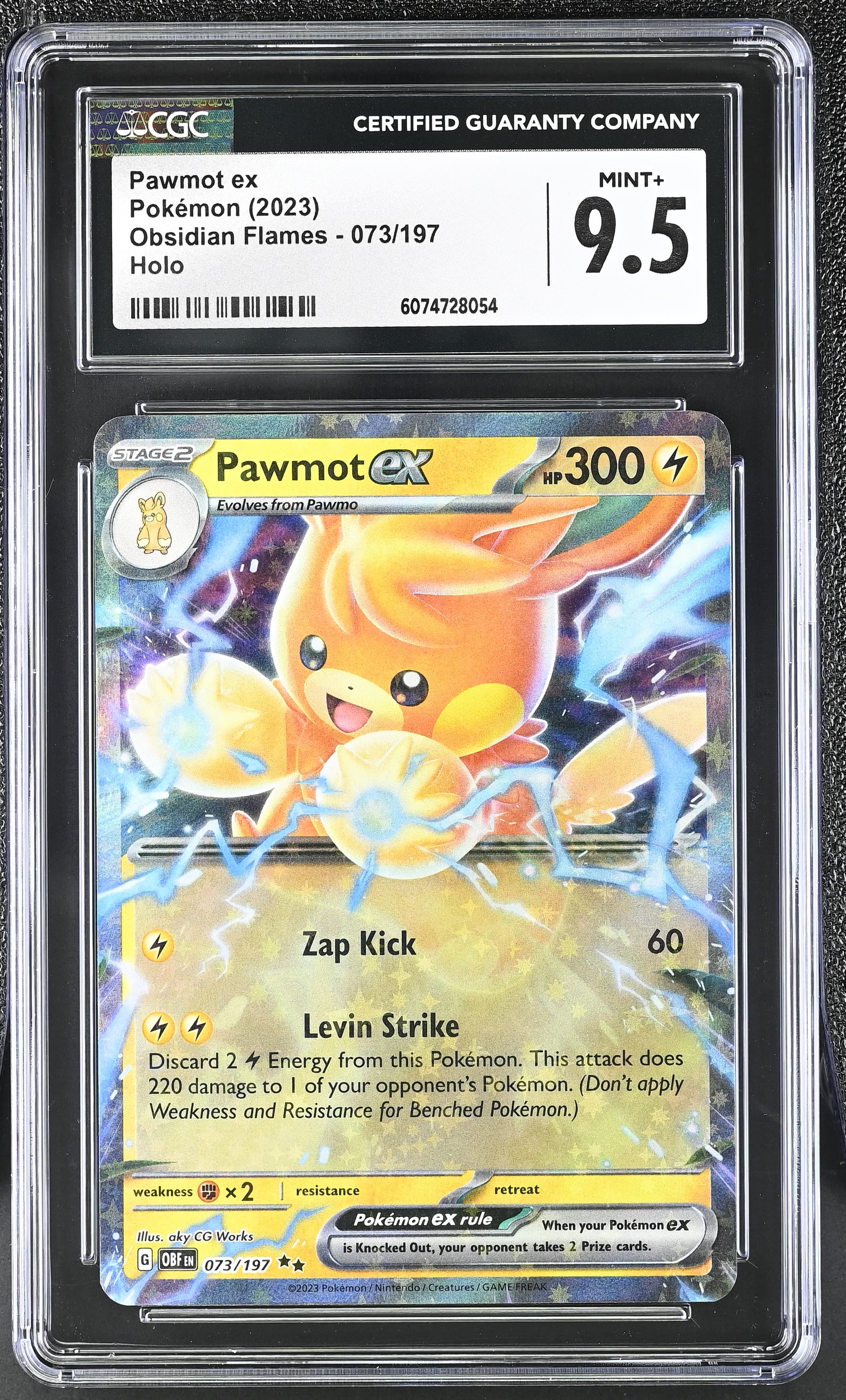 Pawmot ex